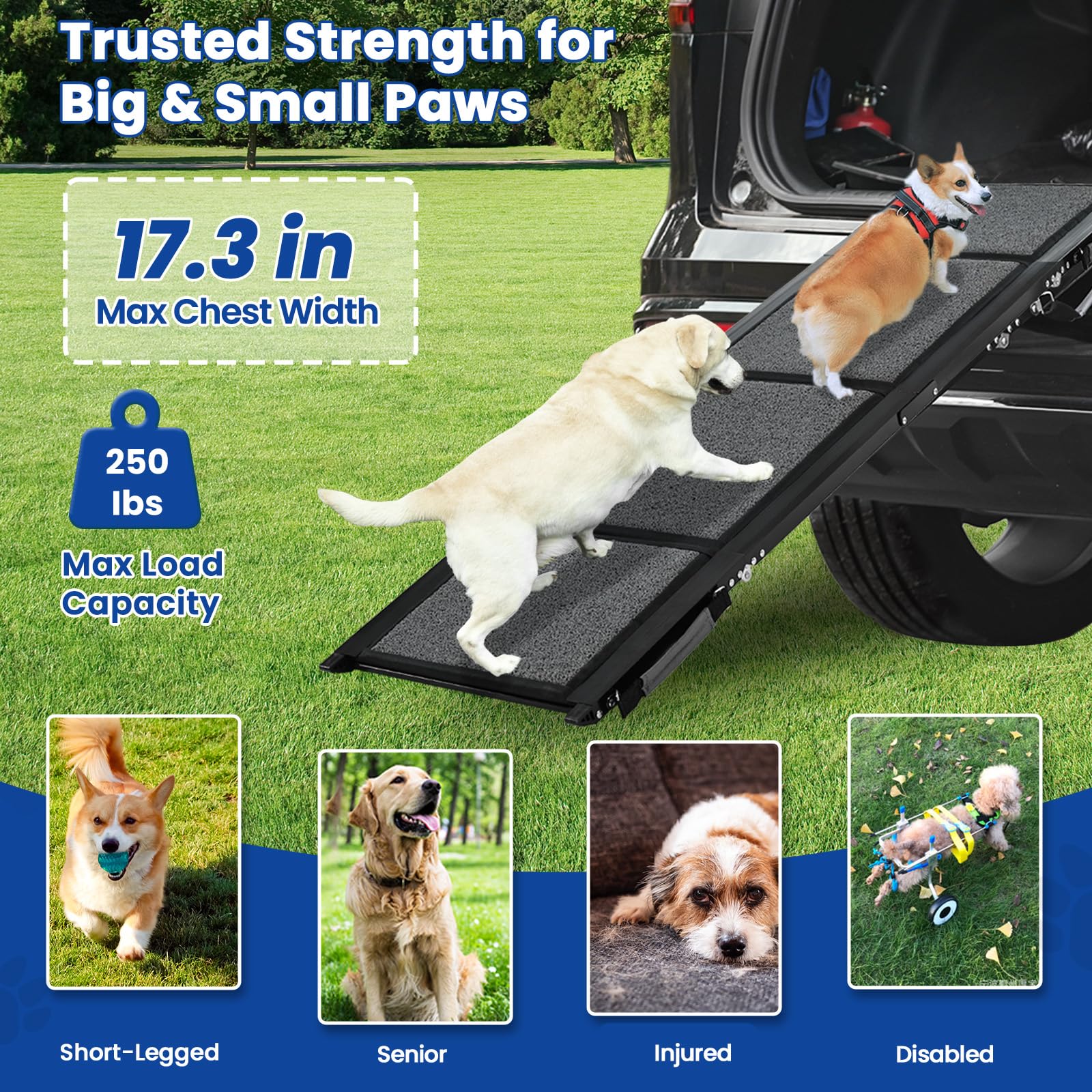 Dog Ramp For Car, Pawlify 71'' X 17.3'' Dog Ramps For Large Dogs With Anti-Pinch Handle And Anti-Slip Rug Surface, Folding Dog R