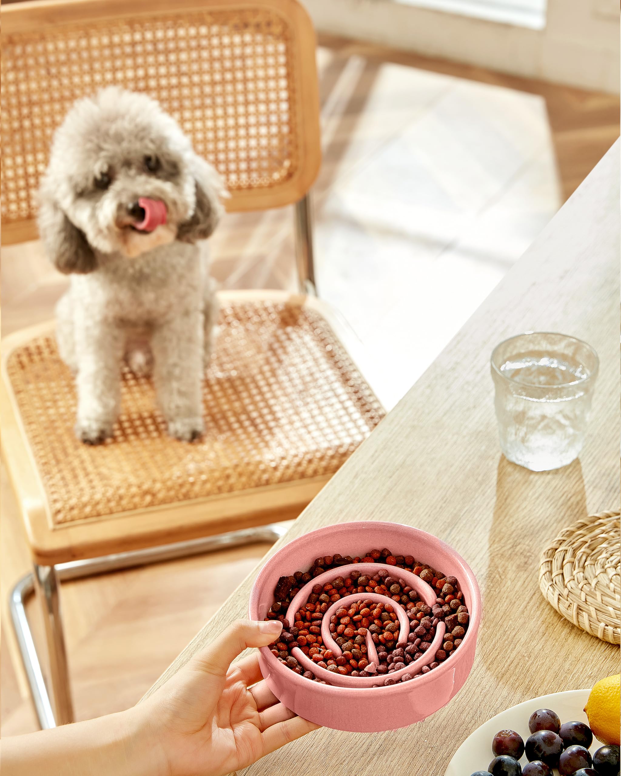 Mopang Ceramic Slow Feeder Dog Bowls, 0.6 Cup Slow Feeder For Small Dogs And Cats, Puzzle Maze Bowl, Prevents Choking, 6In, Pink