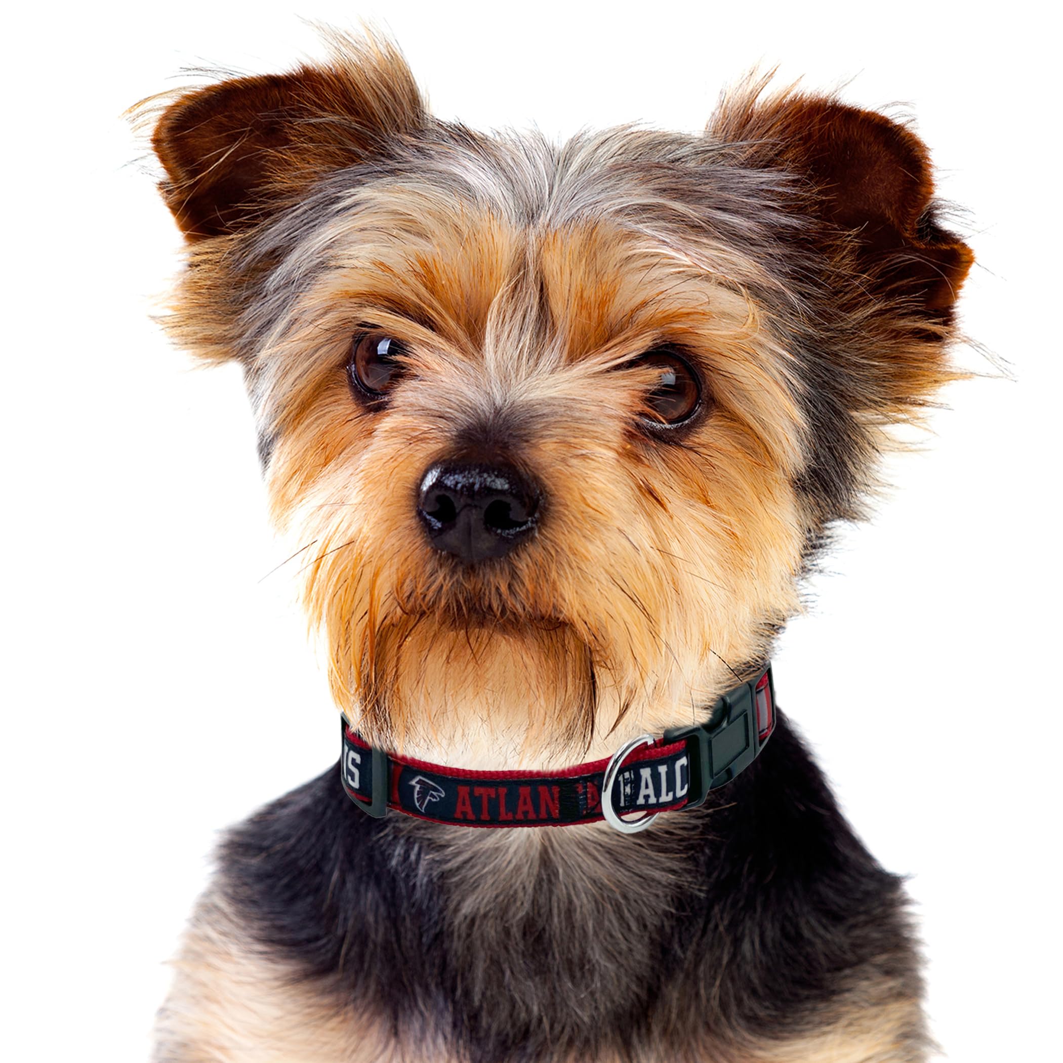 Pets First NFL Atlanta Falcons Licensed PET COLLAR, Small - Heavy-Duty, Strong, and Durable Dog Collar. Available in 31 Football