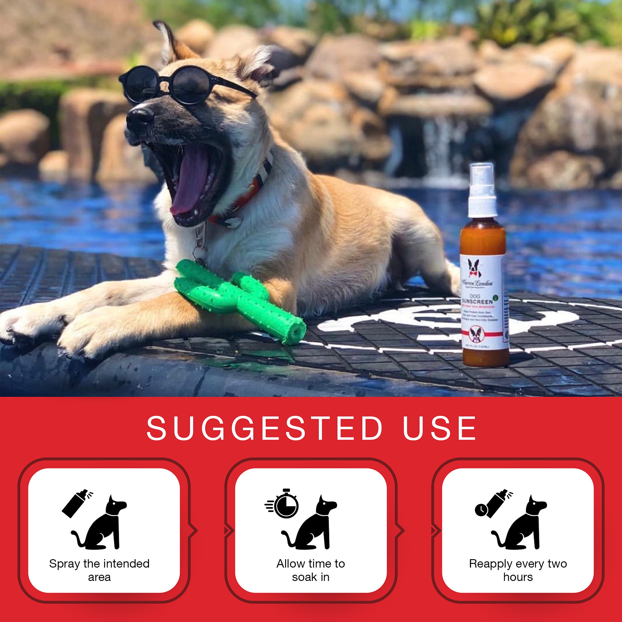 Warren London Dog Sunscreen Spray Protection with Aloe Vera I Dog Skin Soother I Puppy Sunblock I Made in USA- 4oz