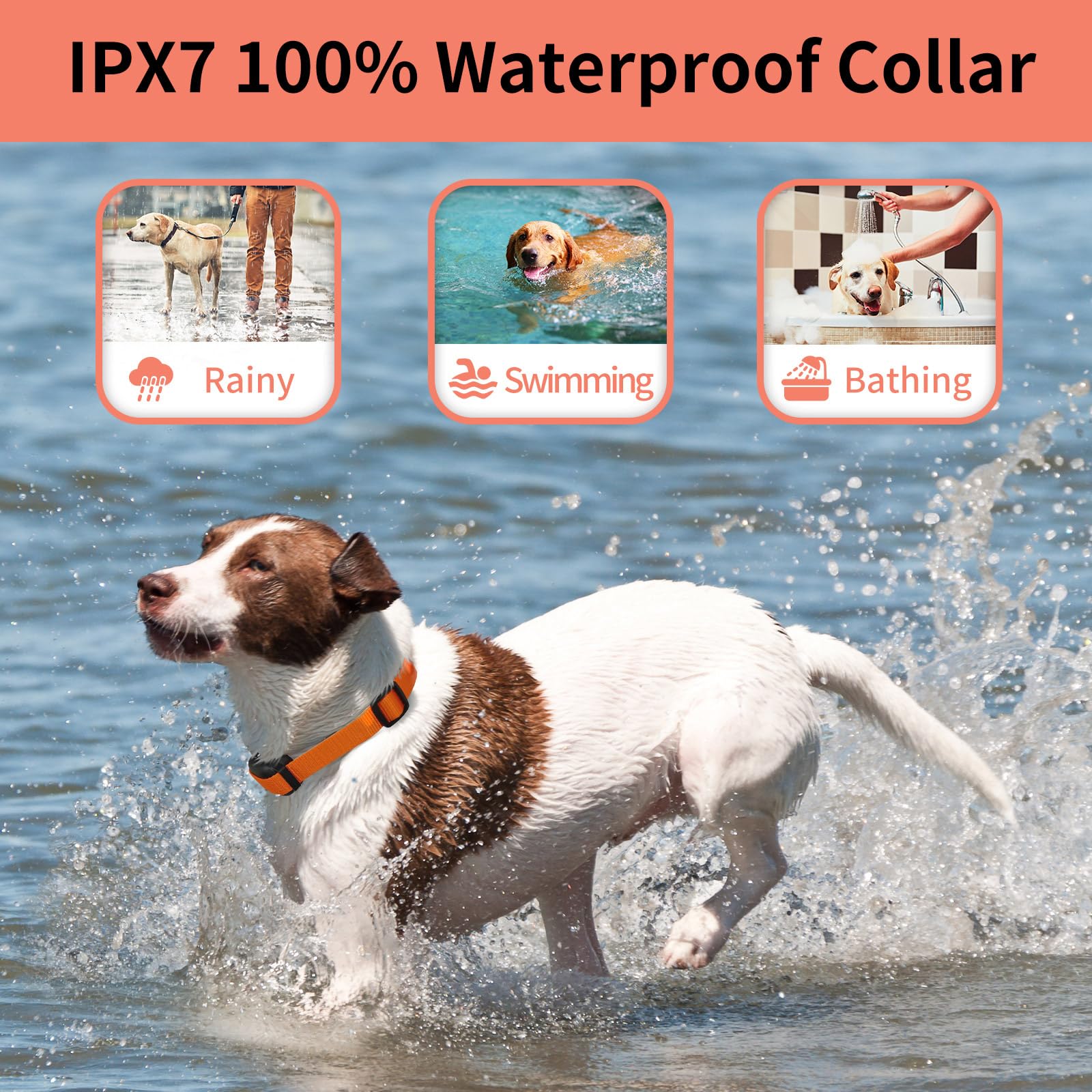 Paipaitek No Shock Dog Training Collar For 2 Dogs - 3300Ft Remote, Waterproof Vibration Collar For 2 Dogs, Humane Vibration & Be