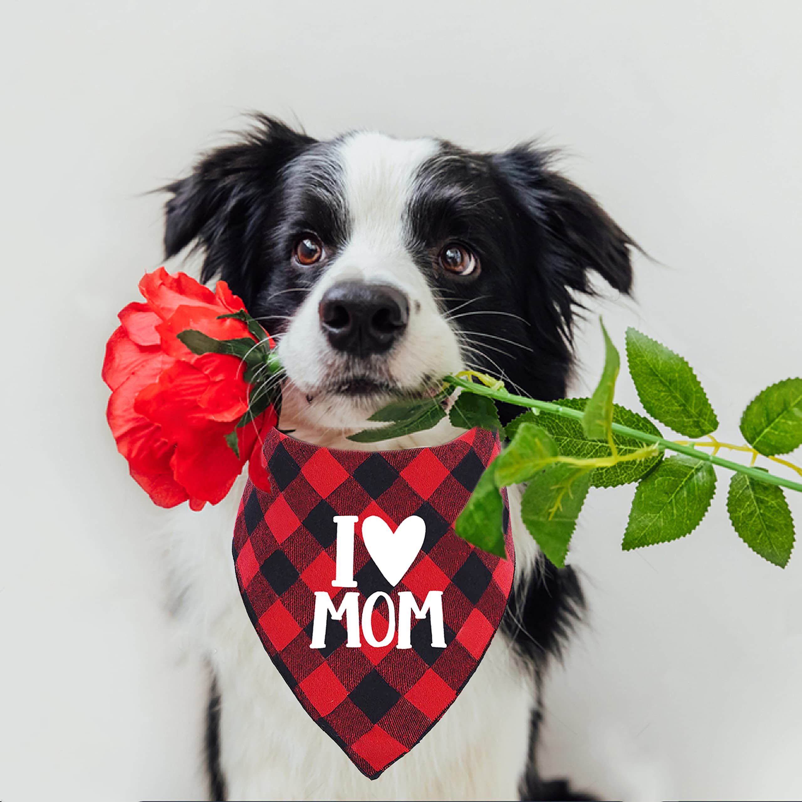 Mother'S Day Dog Bandana, Happy Mother'S Day Cat Bandana For Large Medium Small Pets Puppies (Small)