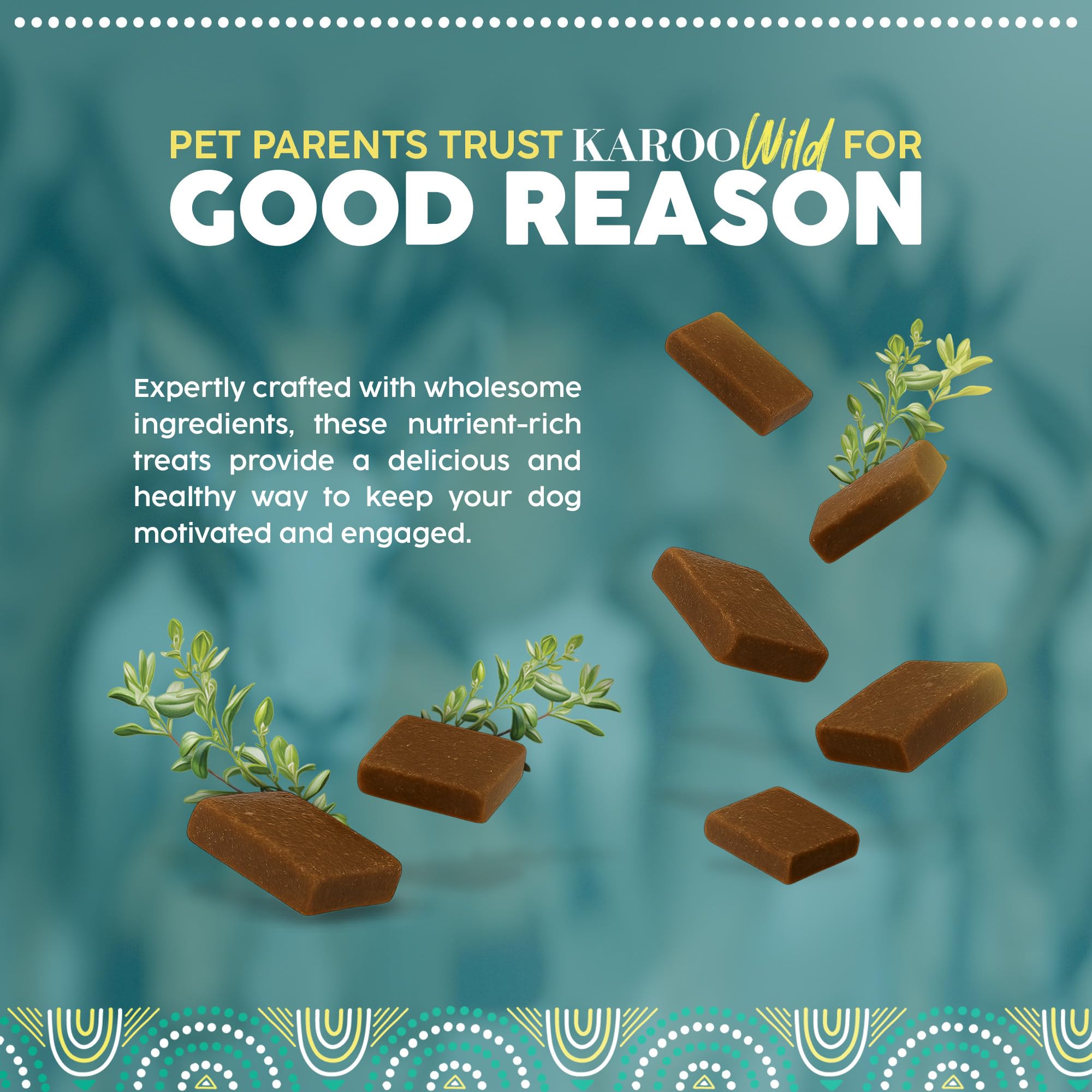 Karoo Wild Trail Bites Thyme Seasoned Treats for Dogs - 8 oz - Soft & Chewy Protein Bites Made with African Antelope - Great for