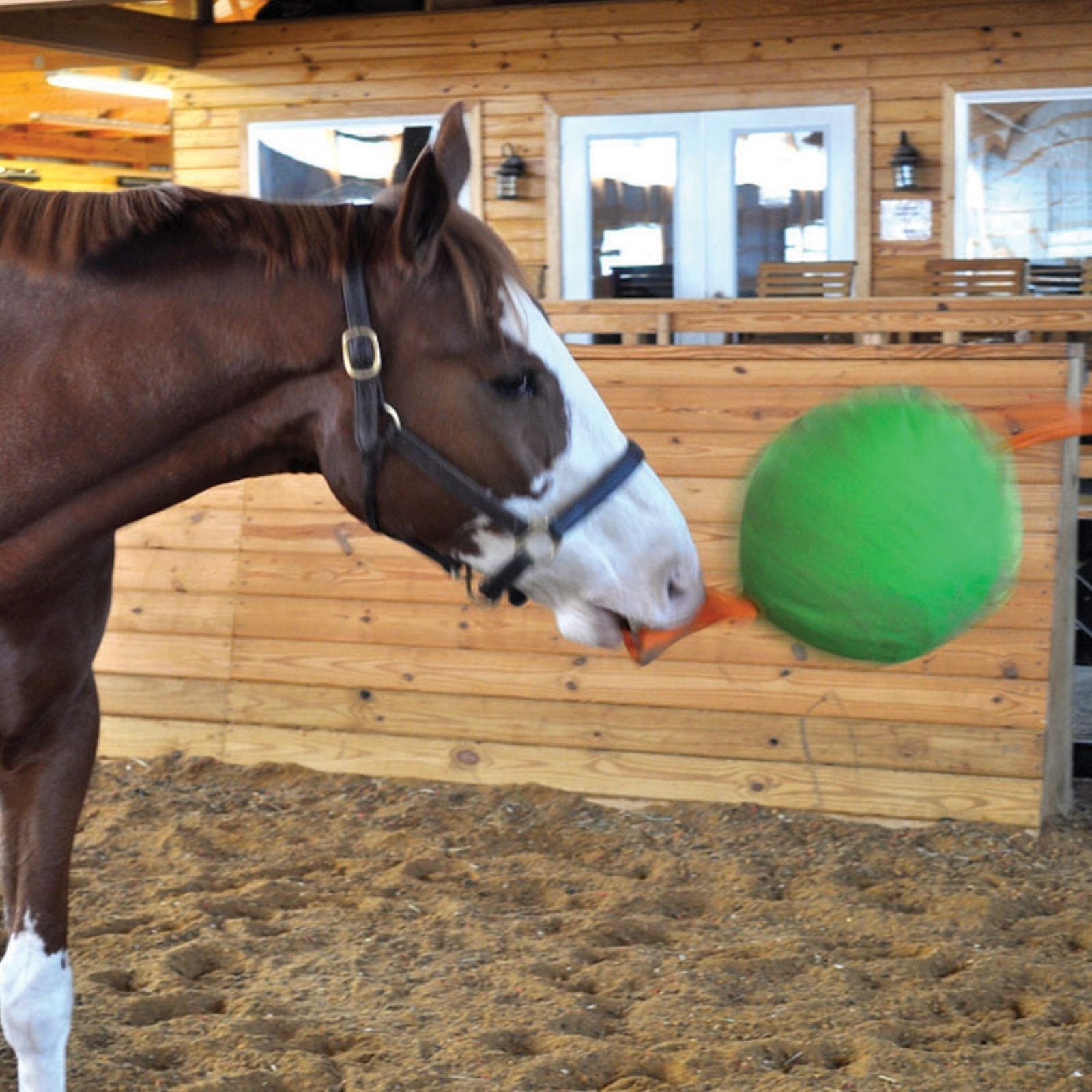Horsemen'S Pride 14'' Jolly Tug Horse Toy, Blue (Jt14 B),All Breed Sizes