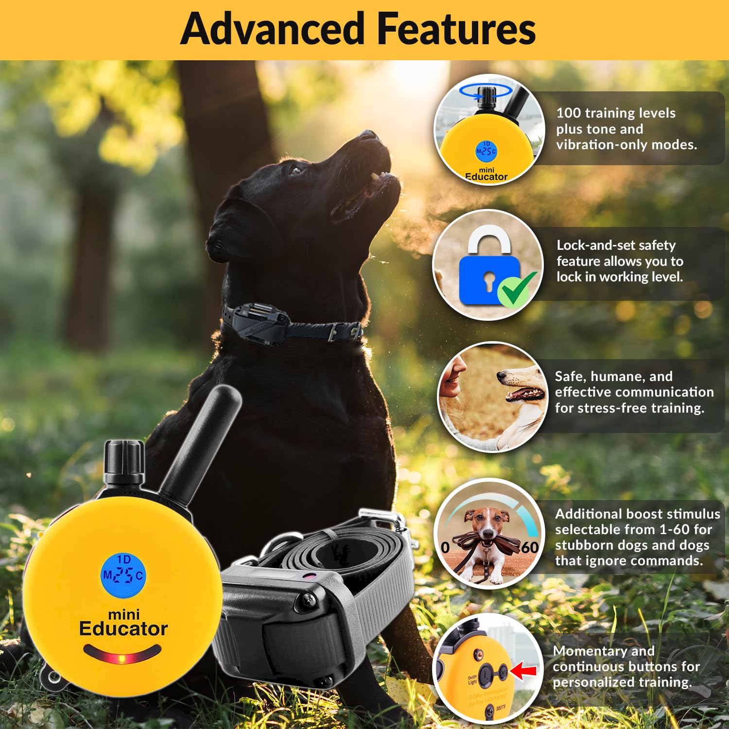 Educator E-Collar Humane Dog Training Collar With Remote, 100 Safe Tapping Stimulation Levels, Night Light, Waterproof, Rechargeable, 1/2 Mile 1 Small-Medium Dog, Yellow