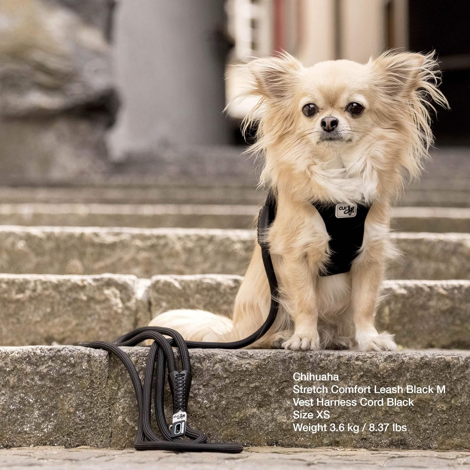 Stretch Comfort Leash Black M