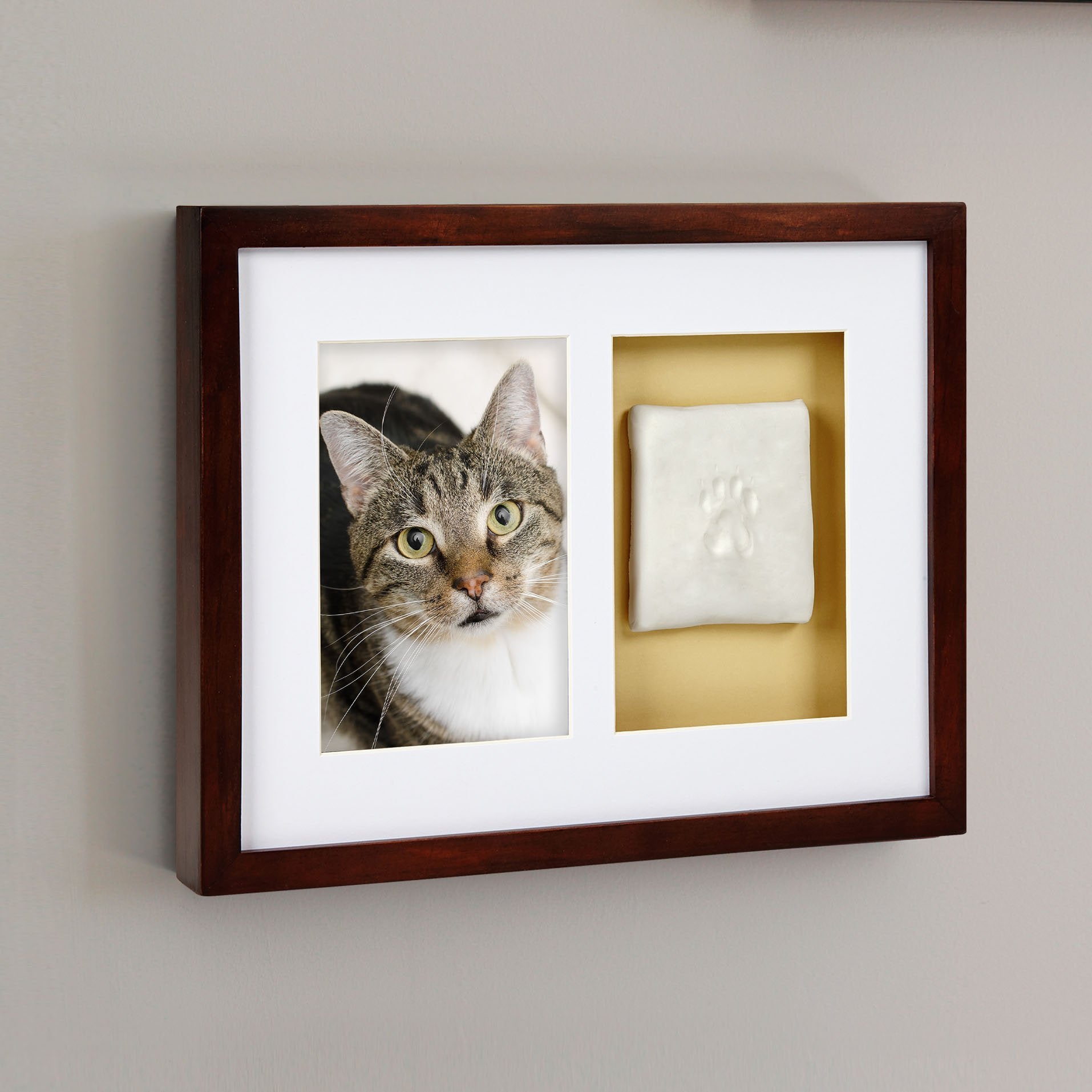Pearhead Dog Or Cat Paw Prints Pet Wall Frame With Clay Imprint Kit, Pet Sentiment Keepsake Frame, Pet Memorial Picture Frame, Espresso 4 X 6'