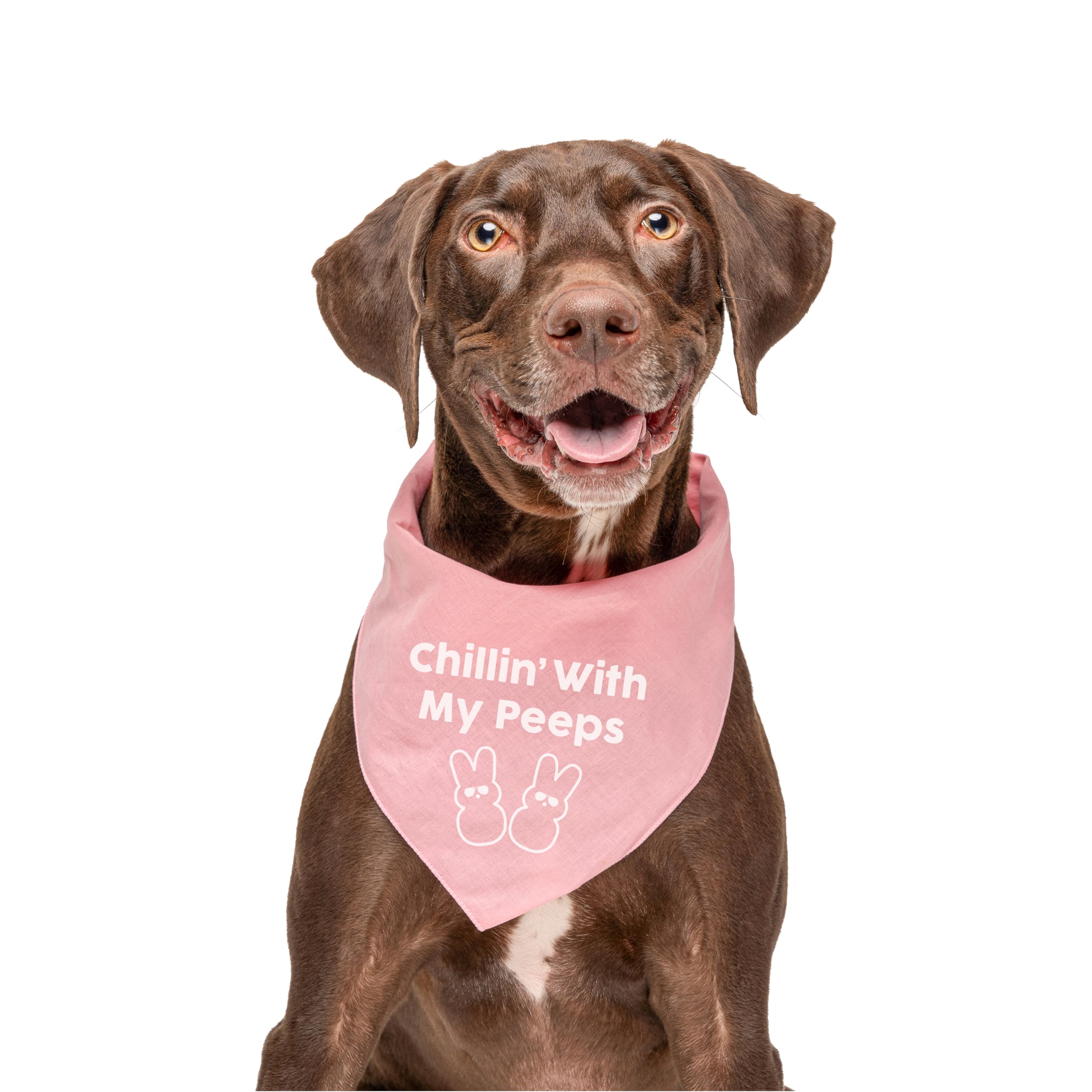 Chillin With My Peeps Dog Bandana | 100% Cotton Adjustable Triangle | Made In Usa | Easter Bunny | Egg Hunt| Funny Outfit Prop P