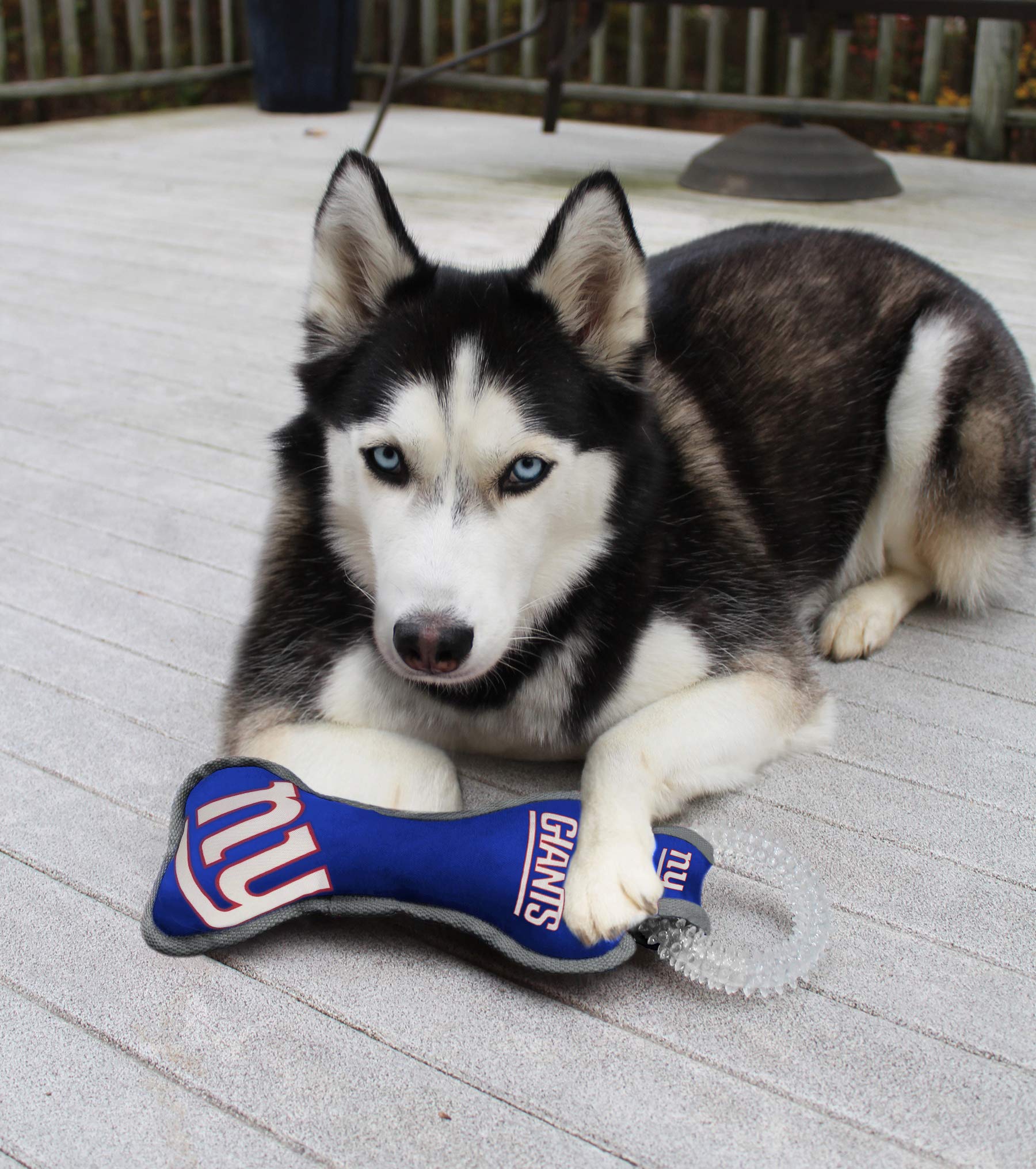 Pets First NFL New York Giants Dental Dog TUG Toy with Squeaker. Tough PET Toy for Healthy Fun, Teething & Cleaning Pet's Teeth