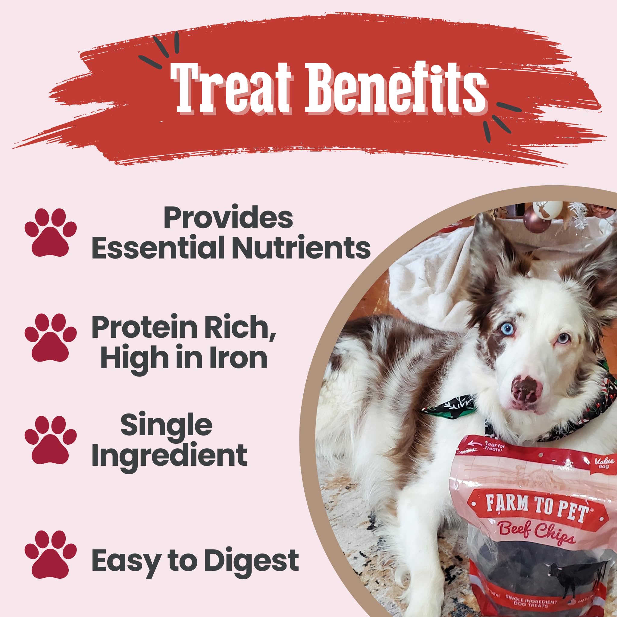 Farm To Pet - Dog Training Treats - 12 oz Beef Chips, Single Ingredient, Lean, All Natural, Healthy Dog Treats for Small, Medium
