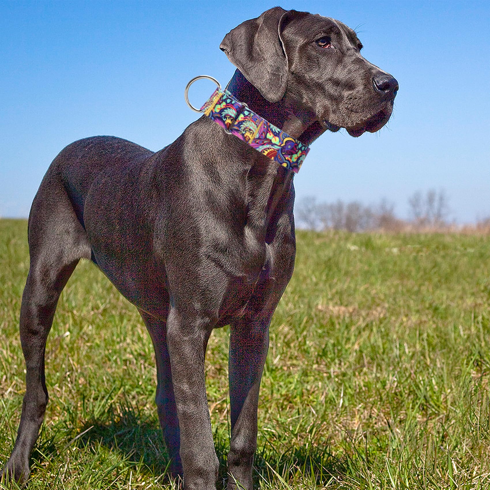 Maowuwujoz 1.5 Inch Wide Martingale Dog Collar - Adjustable No Pull Choke Cinch Escape Proof Training Collar For For Pitbulls, G