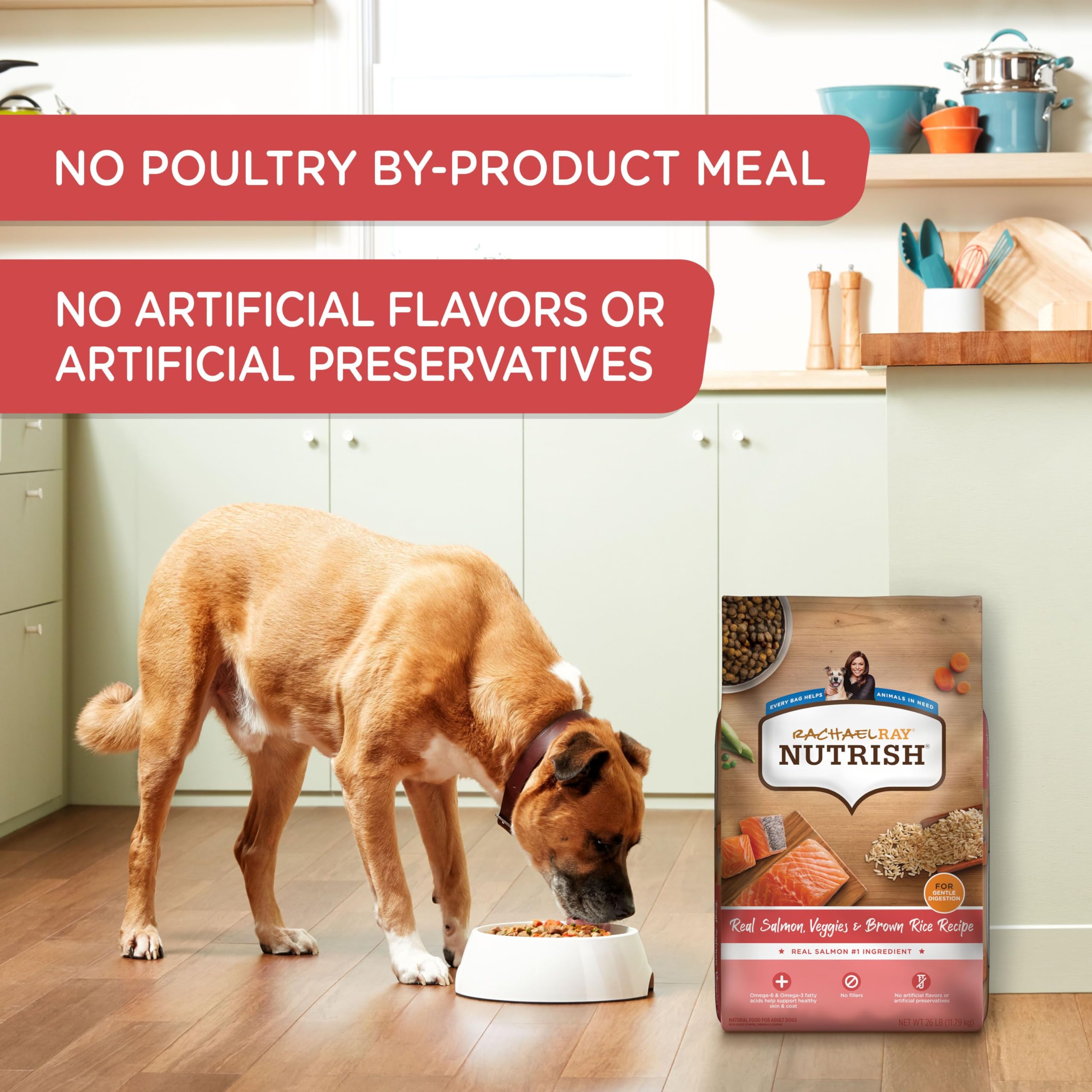 Nutrish Real Salmon, Veggies & Brown Rice Recipe Whole Health Blend Dry Dog Food, 13 lb. Bag, Packaging May Vary (Rachael Ray)