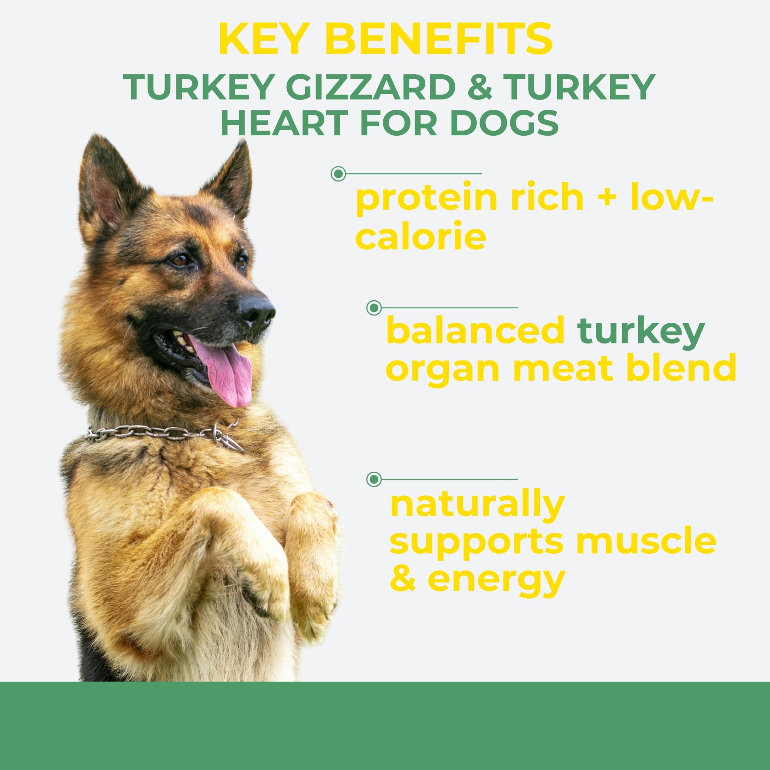 Momentum Carnivore Nutrition Freeze-Dried Turkey Training Bites - Two Ingredients-Turkey Gizzards and Hearts, All-Natural Dog Tr