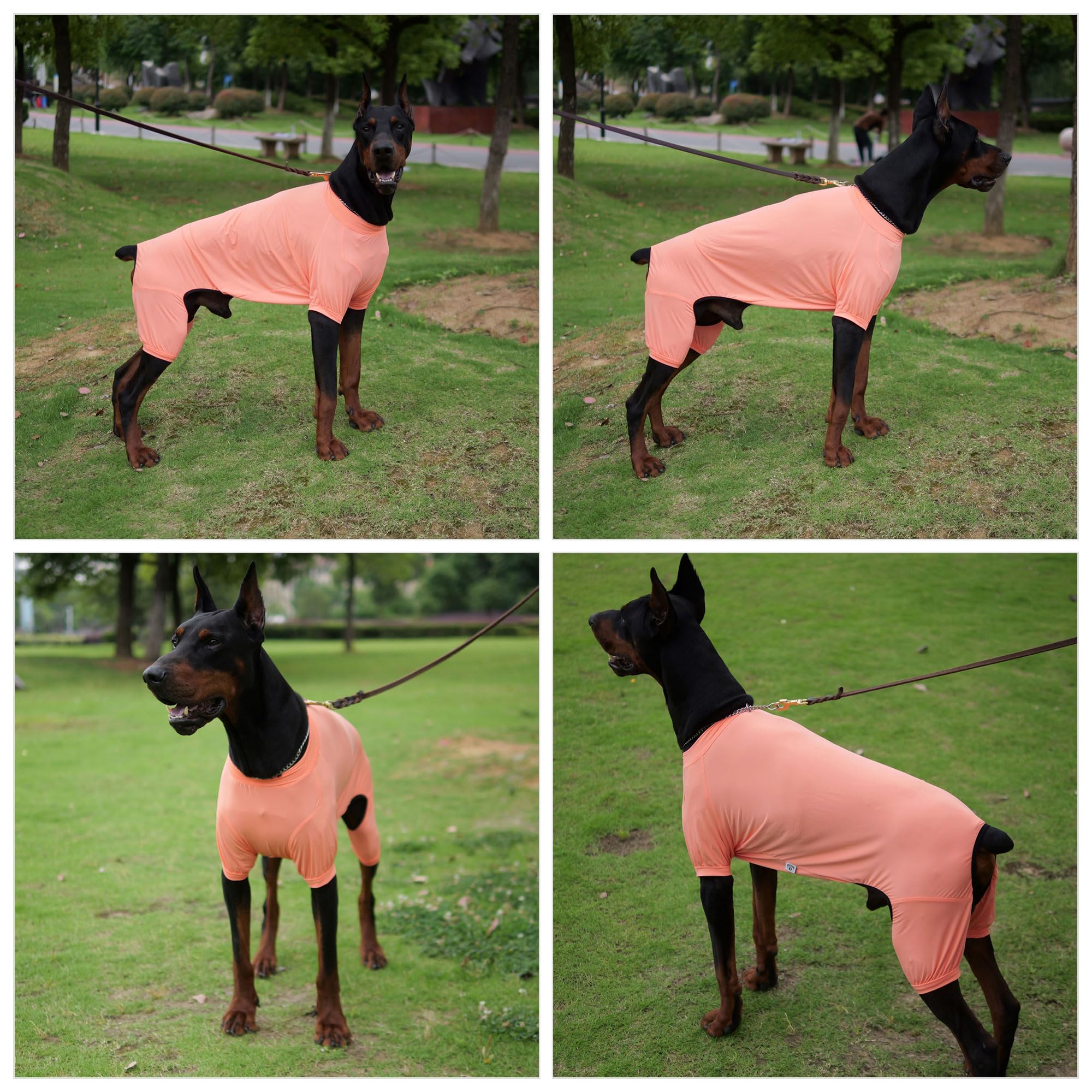 Lovelonglong Dog Jumpsuit With Uv Protection And Quick-Dry Fabric For Spring Summer Pet Pajamas Lobster Pink Xl