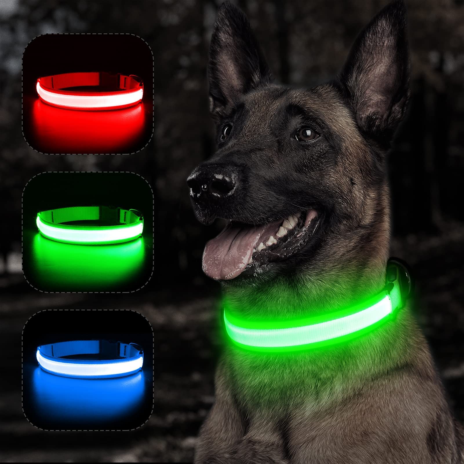 BSEEN LED Dog Collar - Rechargeable, Adjustable, Reflective, Large, Neon Green