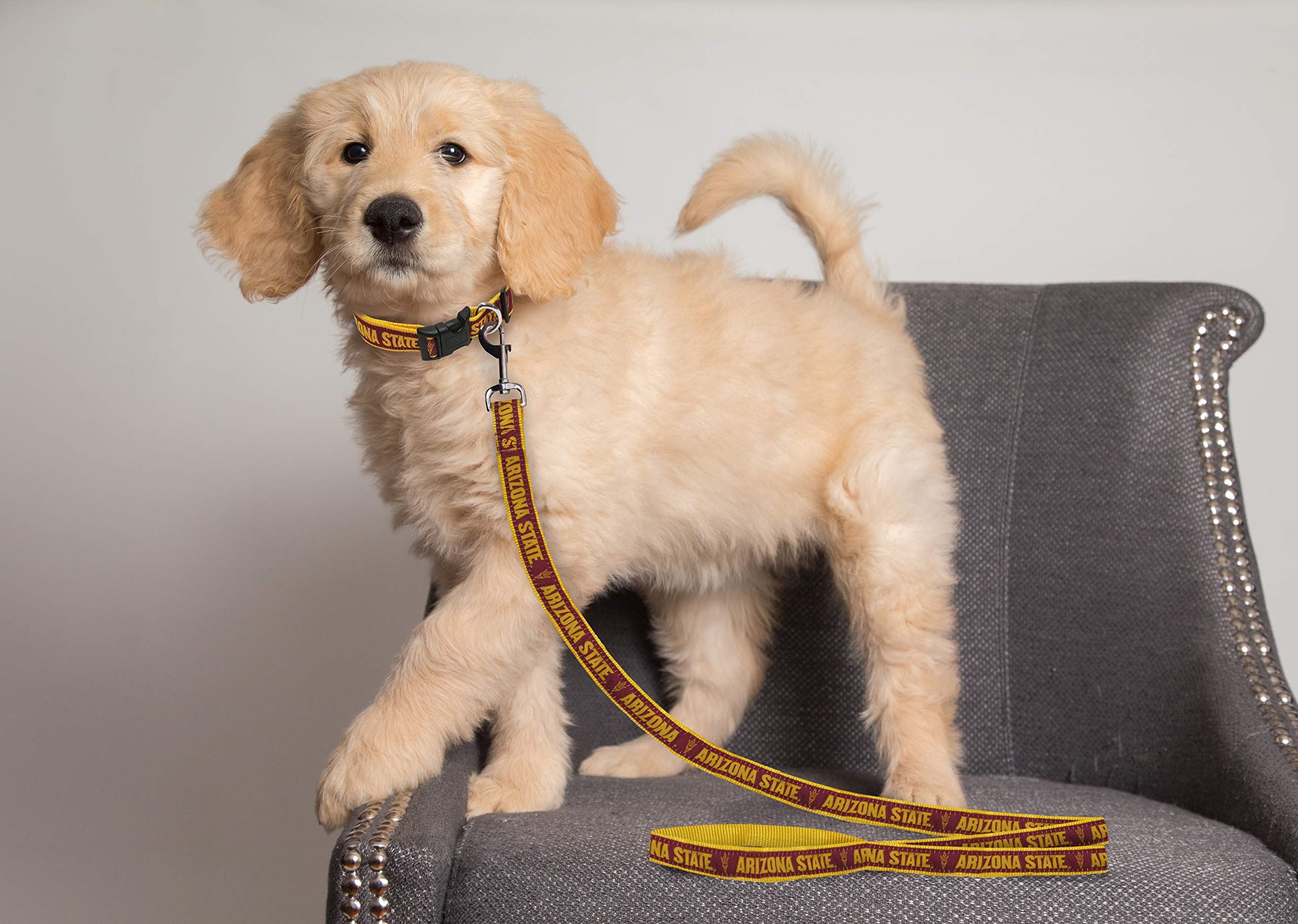 Ncaa Pet Leash, Medium, Arizona State Sun Devils, Dog Leash, Shiny & Colorful Leash For Dogs & Cats Licensed By The Ncaa