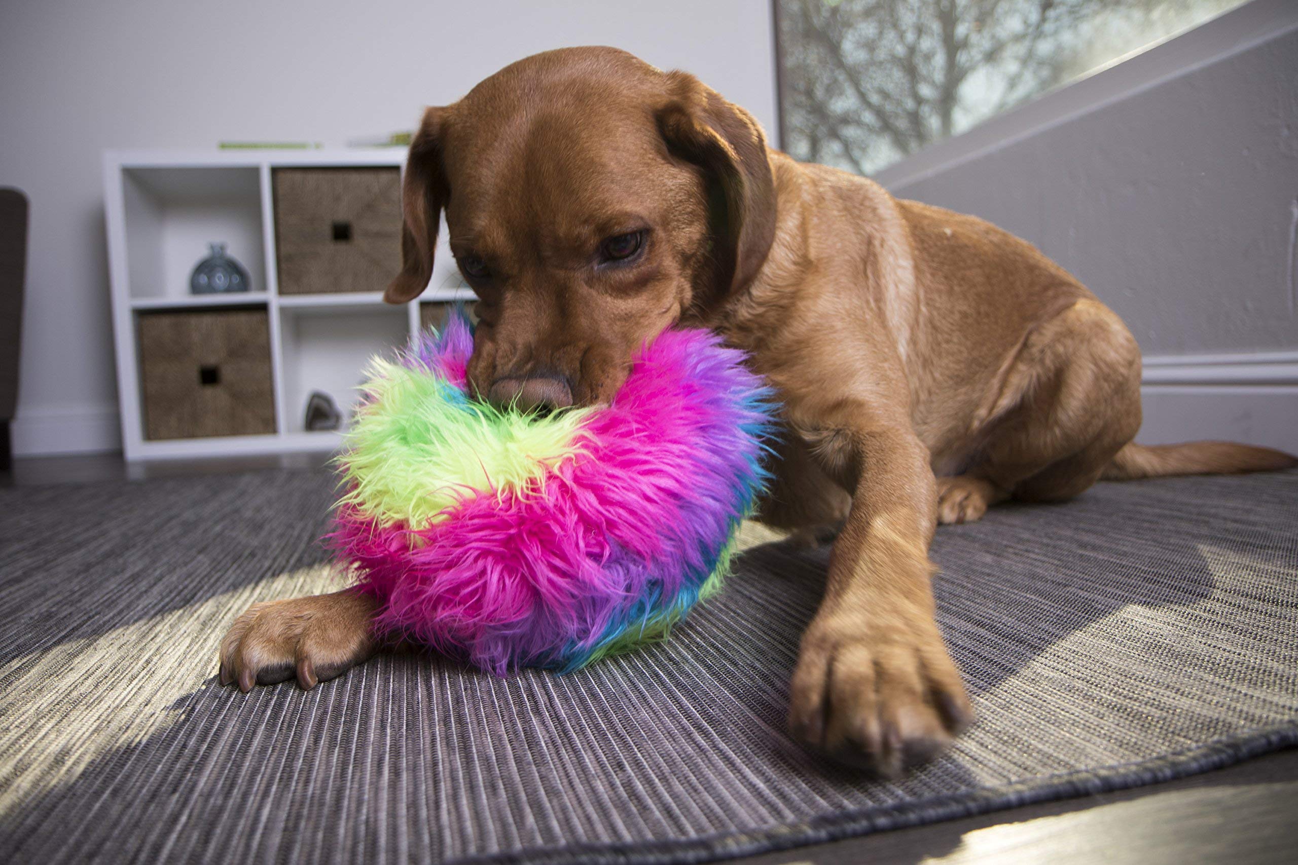 Godog Furballz Squeaky Plush Ball Dog Toy, Chew Guard Technology - Rainbow, Large