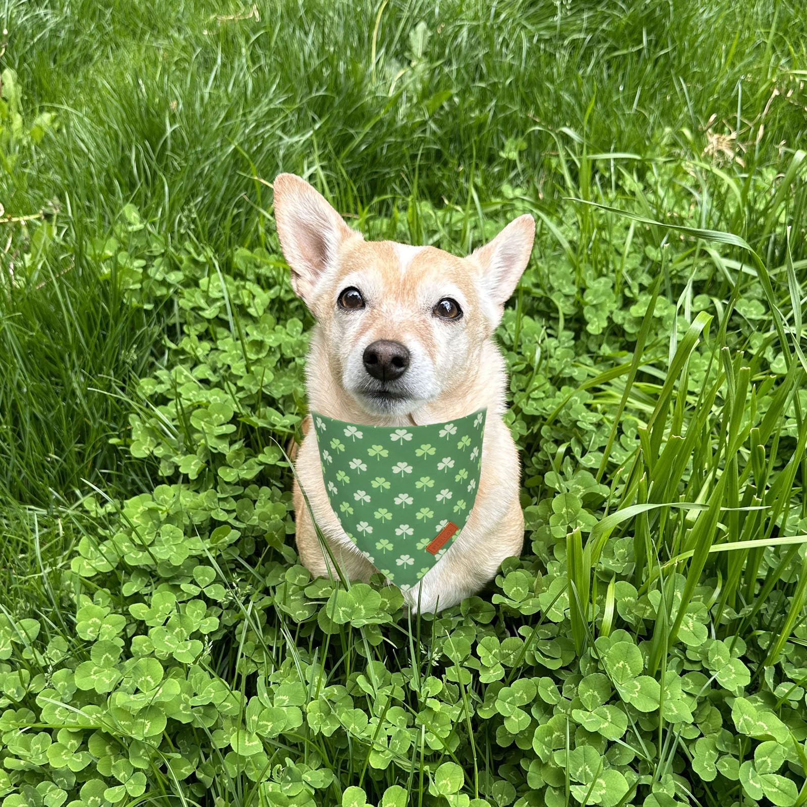 Ptdecor St.Patrick'S Day Dog Bandana,Green Shamrock Reversible Holiday Dog Scarf, Multi Size, Triangle Irish Bandanas For Medium
