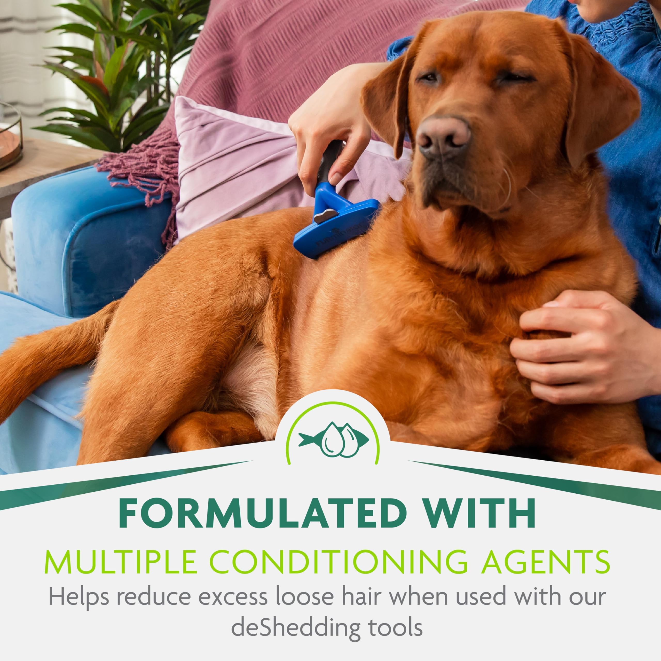 Furminator Ultra Premium Deshedding Shampoo For Dogs Helps Reduce Excess Shedding, 16 Oz