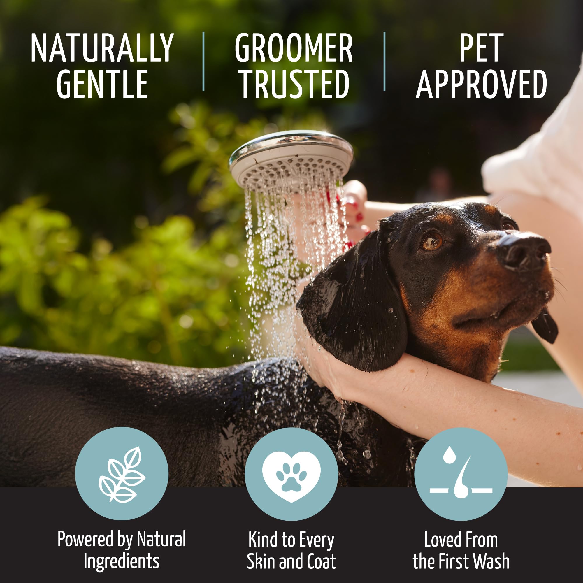Tauro Proline Pure Nature Ultra Sensitive Shampoo For Dogs And Cats With Sensitive Skin & Coat Sulfate Parabens Sls Free Natural