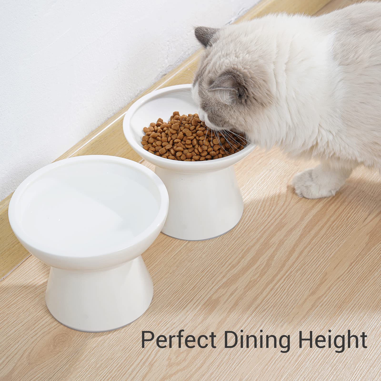 CEEFU Extra Wide Elevated Ceramic Cat Water Bowl - 6.2  Deeper Dish for Whisker Fatigue Relief, 5  Height for Easy Feeding, Lead