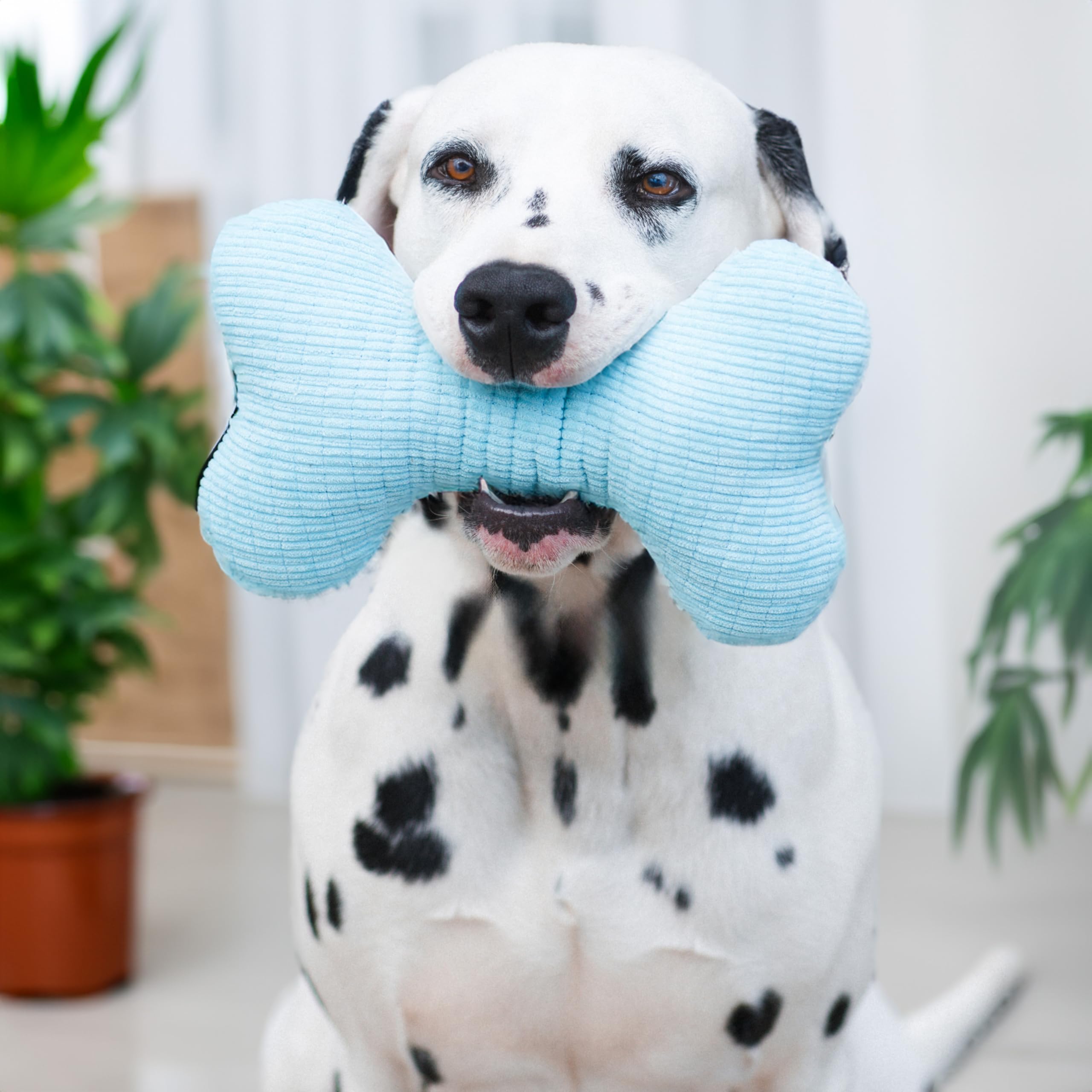 Playology Dog Toys | Plush Squeaky Bone Chew Toy for Dogs | Jumbo Peanut Butter Scented Toy - Easy to Clean and Made from Non To