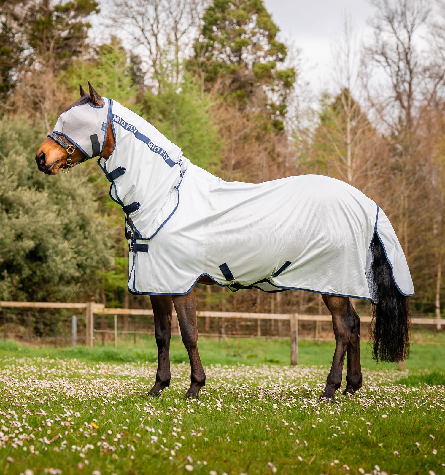 Horseware Mio Fly Sheet (No Fill)