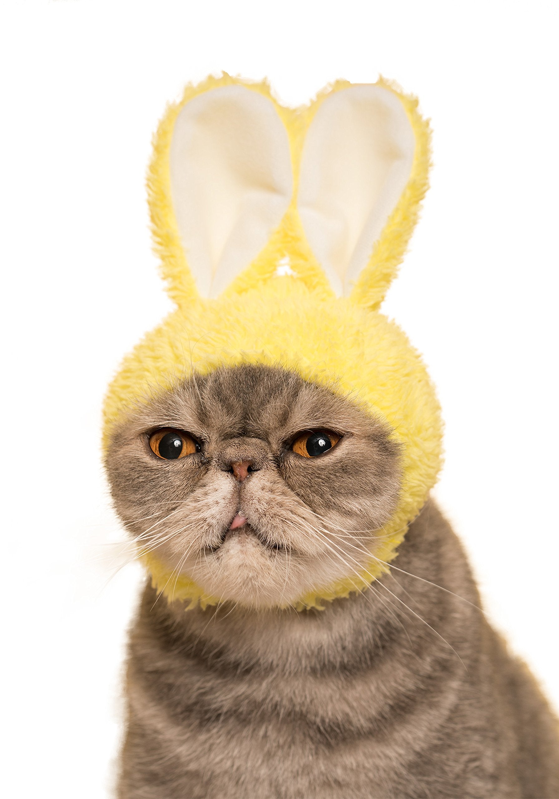 Kitan Club Cat Cap - Pet Hat Blind Box Includes 1 Of 5 Cute Styles - Soft, Comfortable - Authentic Japanese Kawaii Design - Anim
