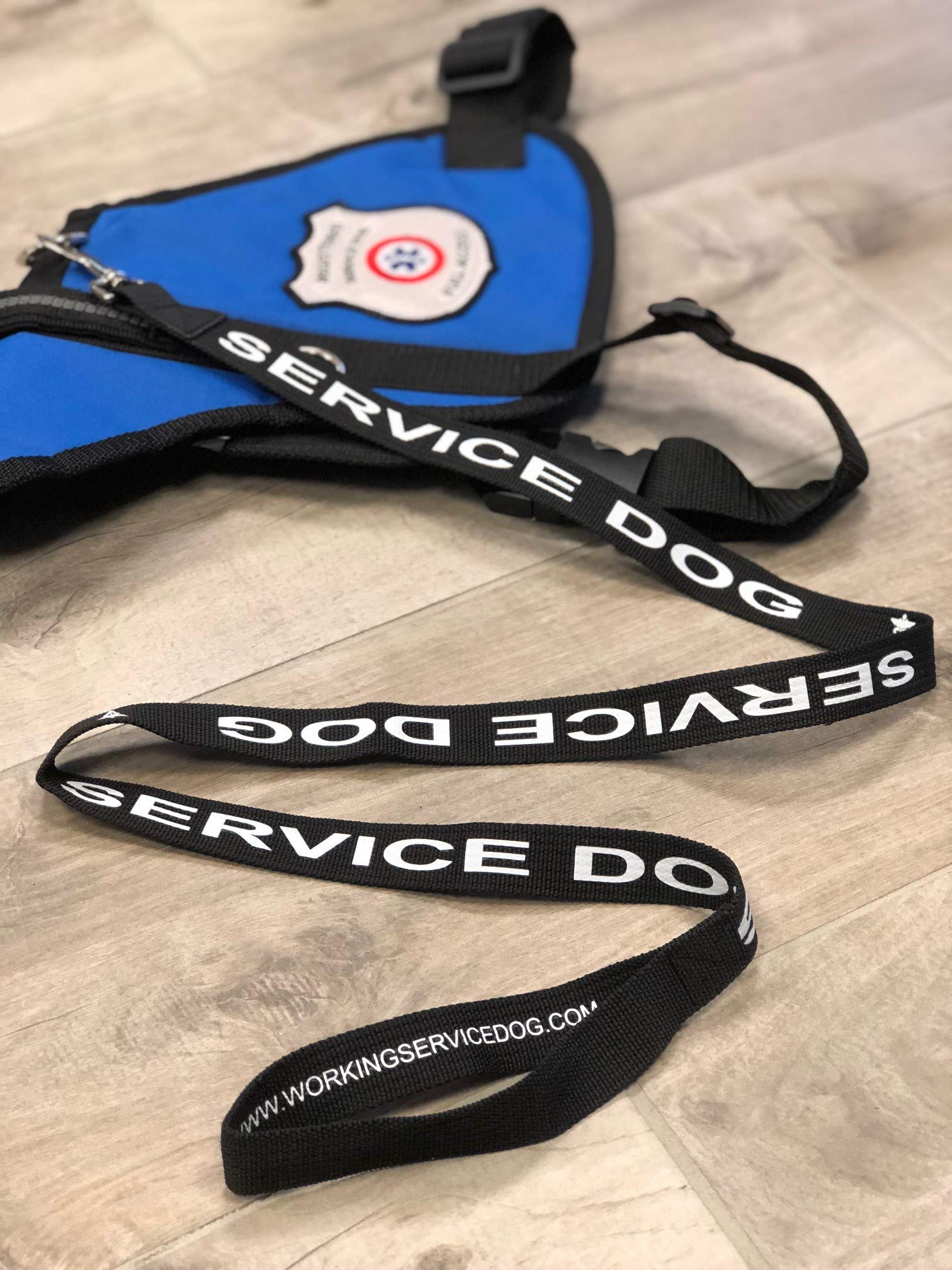 Service Dog Leash - Service Dog Collar Tag - Five Service Dog Federal Law Handout Cards