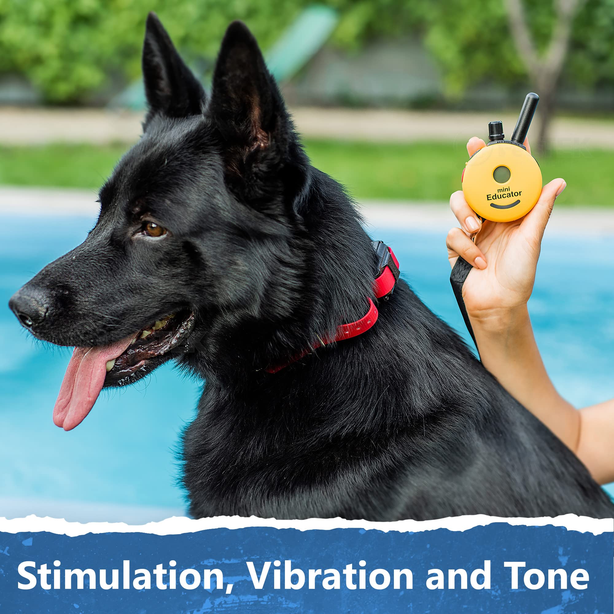 Mini Educator Et-302-1/2 Mile Rechargeable Dog Trainer Ecollar With Remote For Small, Medium, And Large Dogs By E-Collar Technologies - Electric, Vibration, Tone, And Stimulation Collar