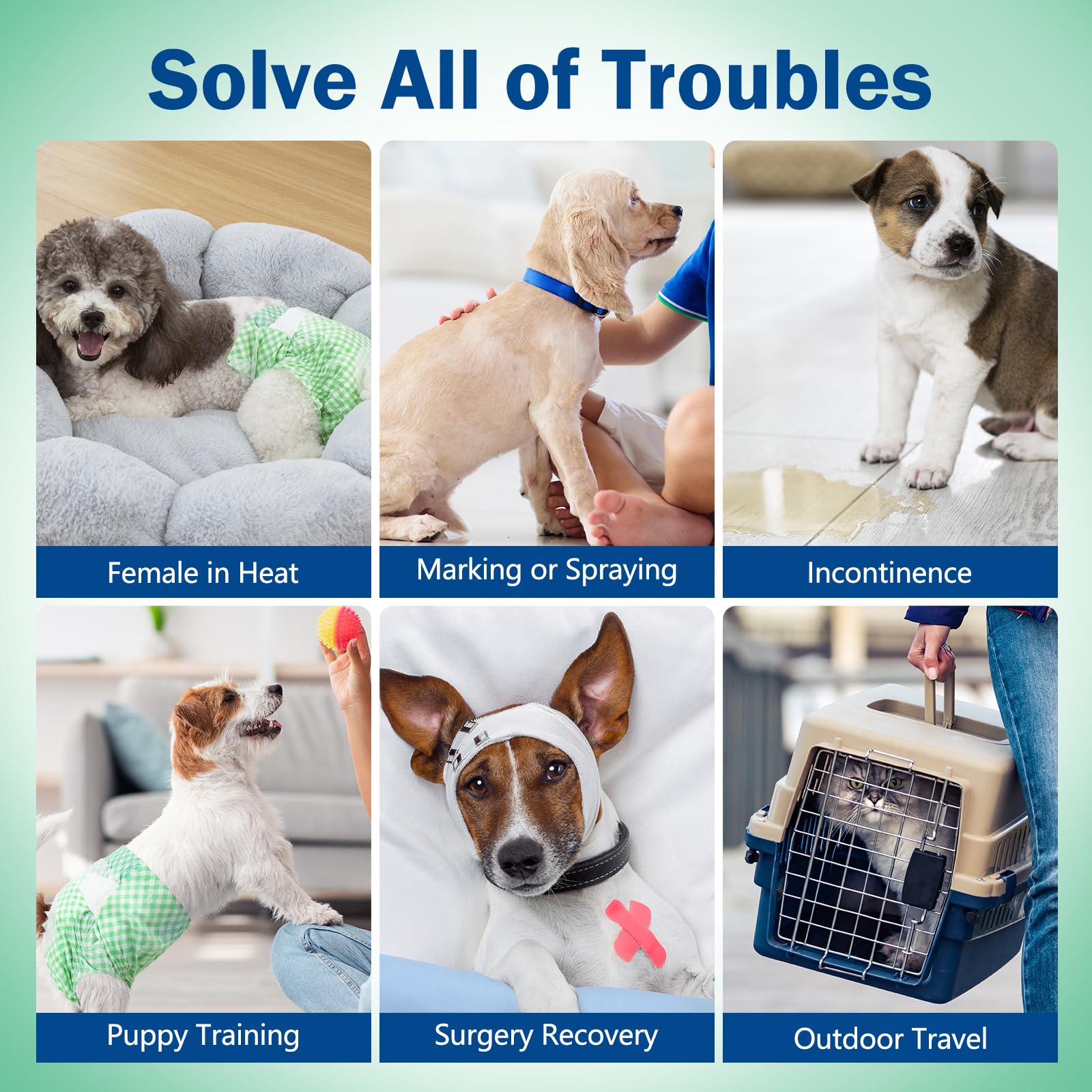 Pet Soft Dog Diapers Female - Disposable Doggie Diapers For Female Dogs, Puppy & Cat Diapers With Adjustable Foam Tail Hole, 24Pcs (Xs,Green)