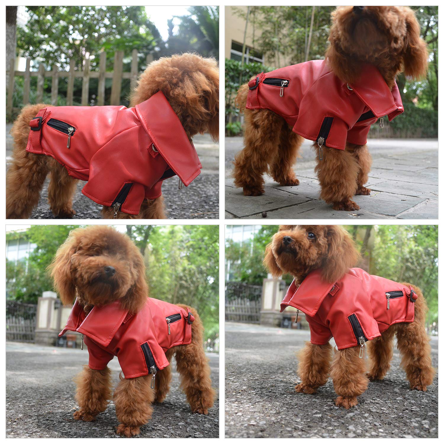 Lovelonglong Cool Dog Leather Jacket, Warm Coats Dogs Windproof Cold Weather Coats For Large Medium Small Dogs, Yorkshire Terrie