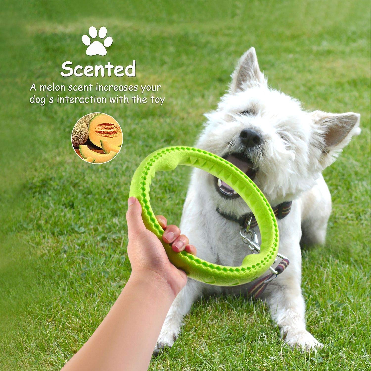 Fluffy Paws Dog Chewing Ring - Soft Rubber Teething Toy for Small/Medium Dogs - 10" Green, Model 2352562