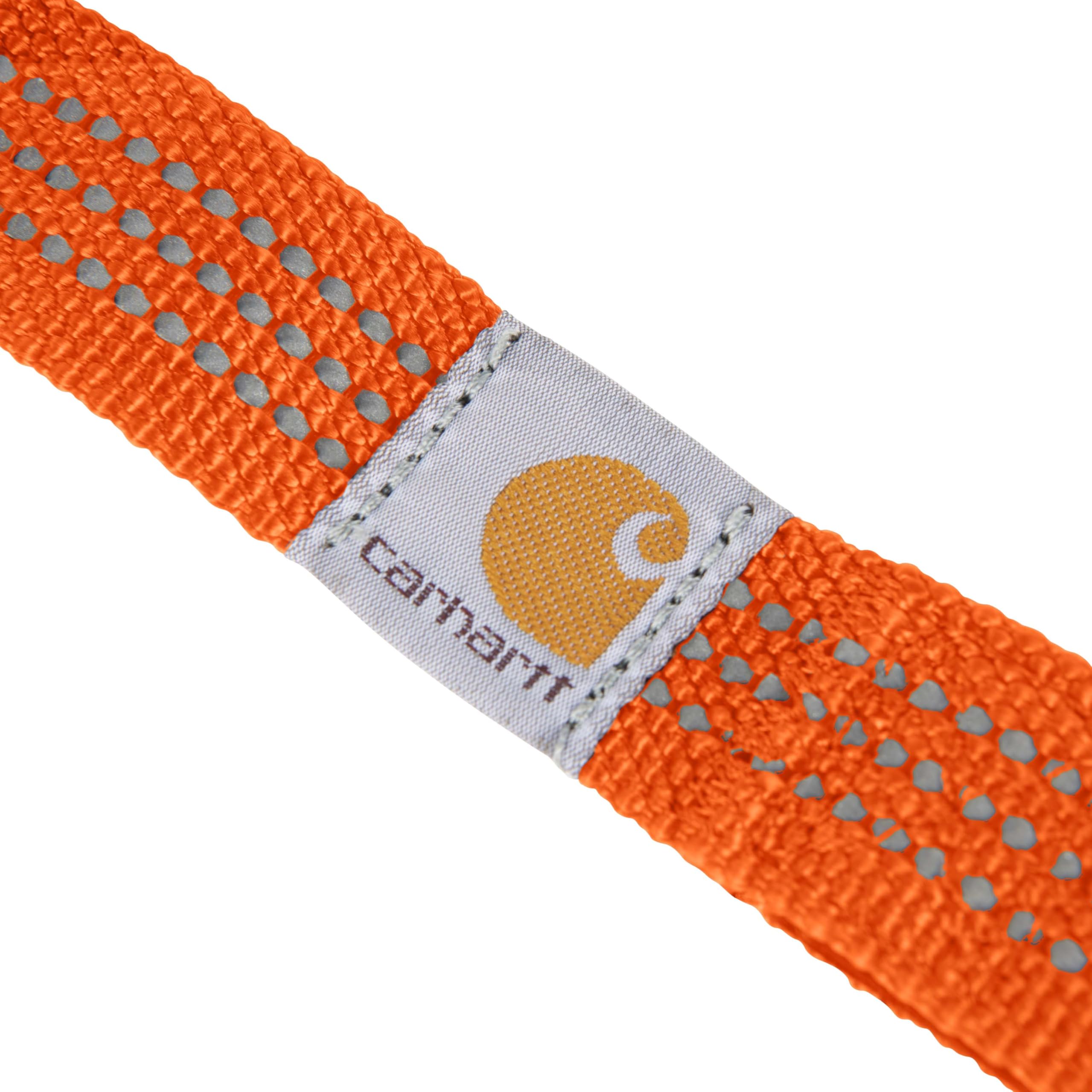 Carhartt Pet Durable Nylon Webbing Shock Absorbing Leash for Dogs, Reflective Stitching for Visibility, Hunter Orange, Large