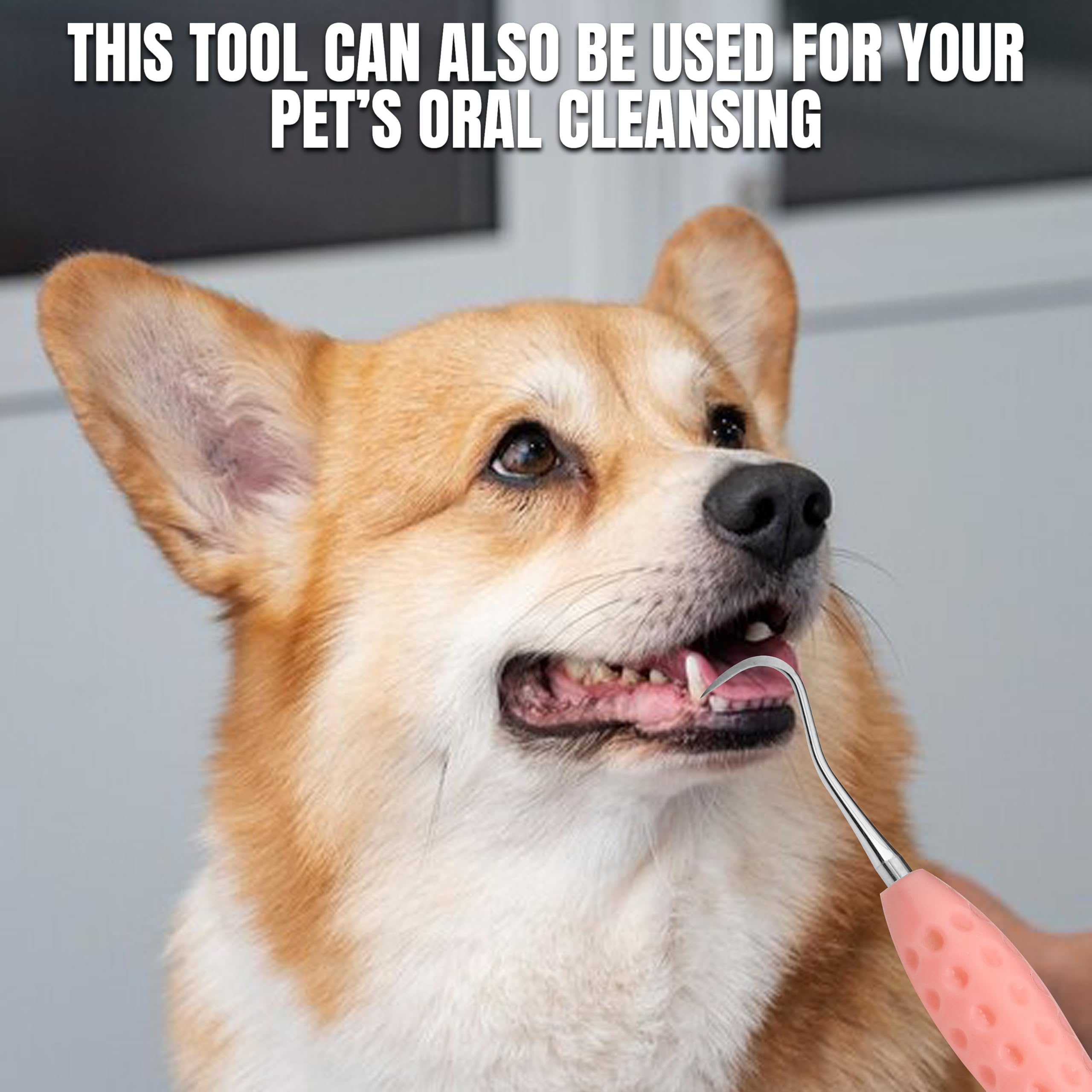 Professional Dental Tools |Tartar Scraper for Dentist, Personal Use and Pets | Plaque Remover with Comfortable Grip, Double Ende