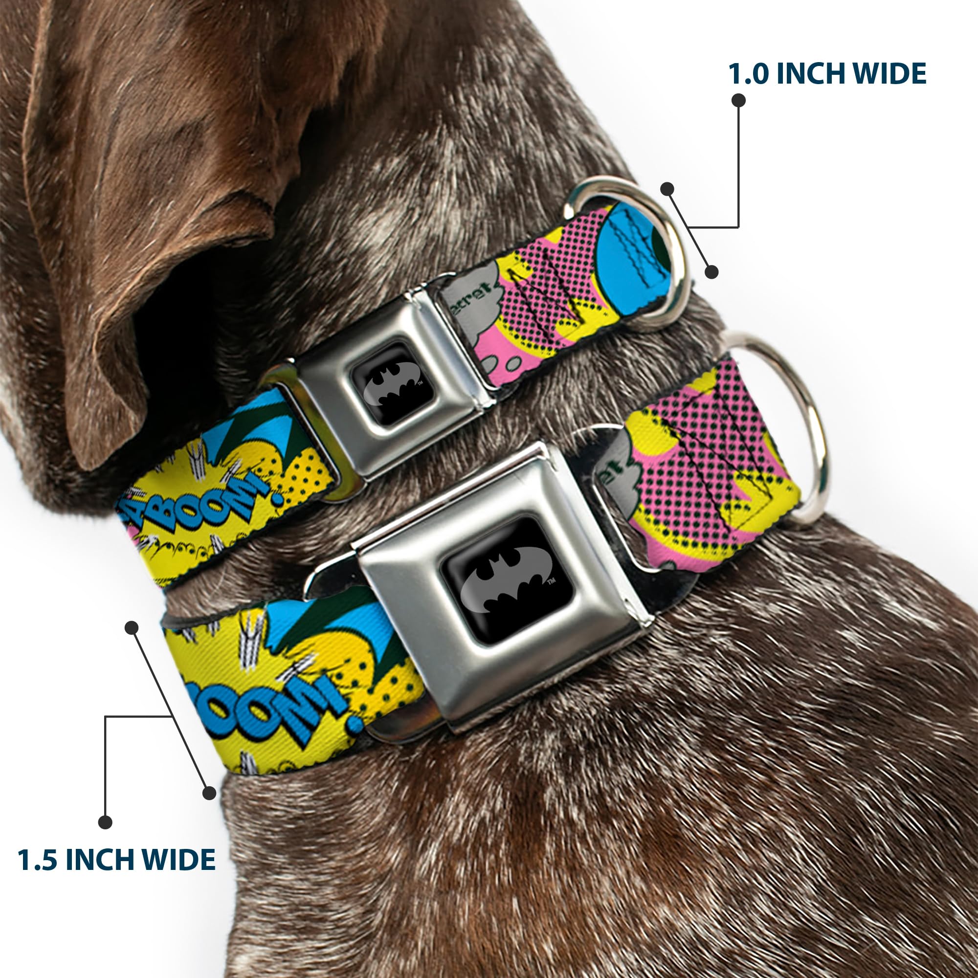 Buckle-Down Seatbelt Buckle Dog Collar - Batgirl-Is She Hero Or Villain? W/Batgirl In Action - 1.5' Wide - Fits 18-32' Neck -