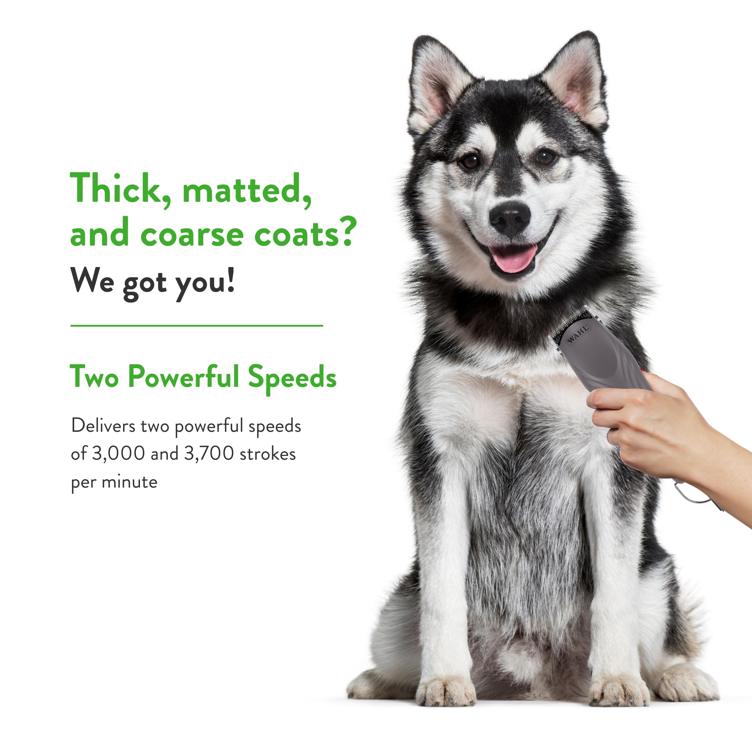 Wahl Pro Animal Km10+ Corded Clipper - New #10 Prime Series Blade, Lockguard Patent Pending Technology & Textured Housing Design