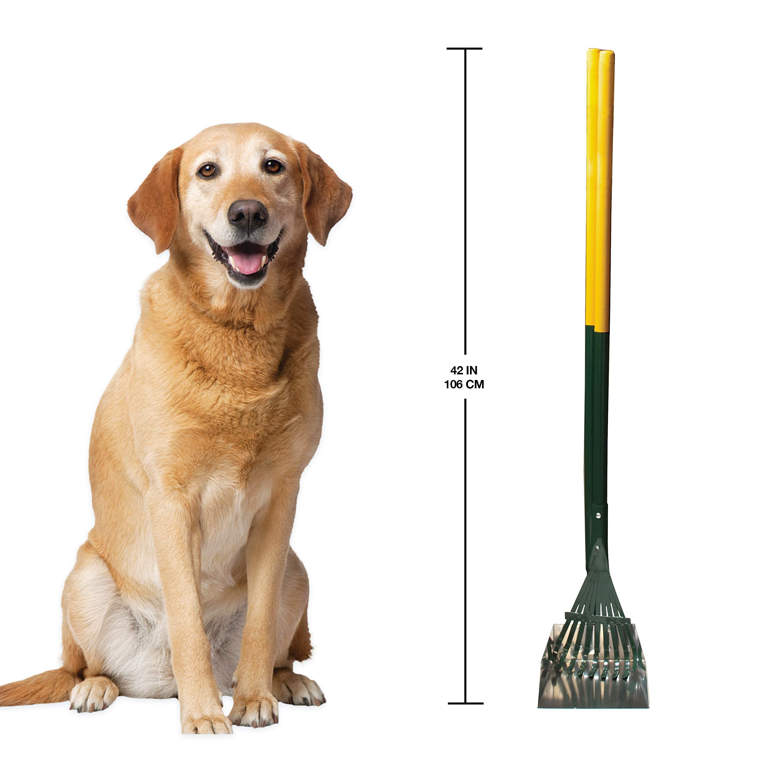 Four Paws Stainless Steel Long-Handled Dog Pooper Scooper Rake & Pan 2 Piece Set, Pet Waste Pickup Tool, 38' X 7'