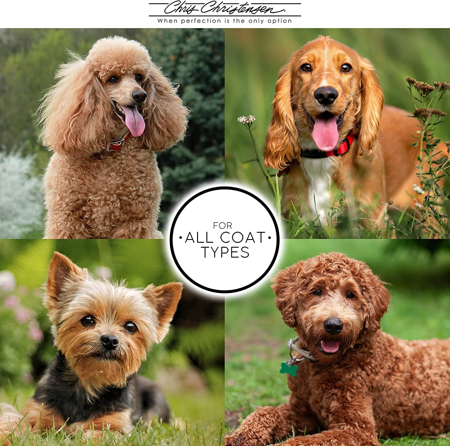 Chris Christensen Smart Style The Cure Brushing & Styling Milk, Dog Conditioner, Groom Like A Professional, 8 Oz