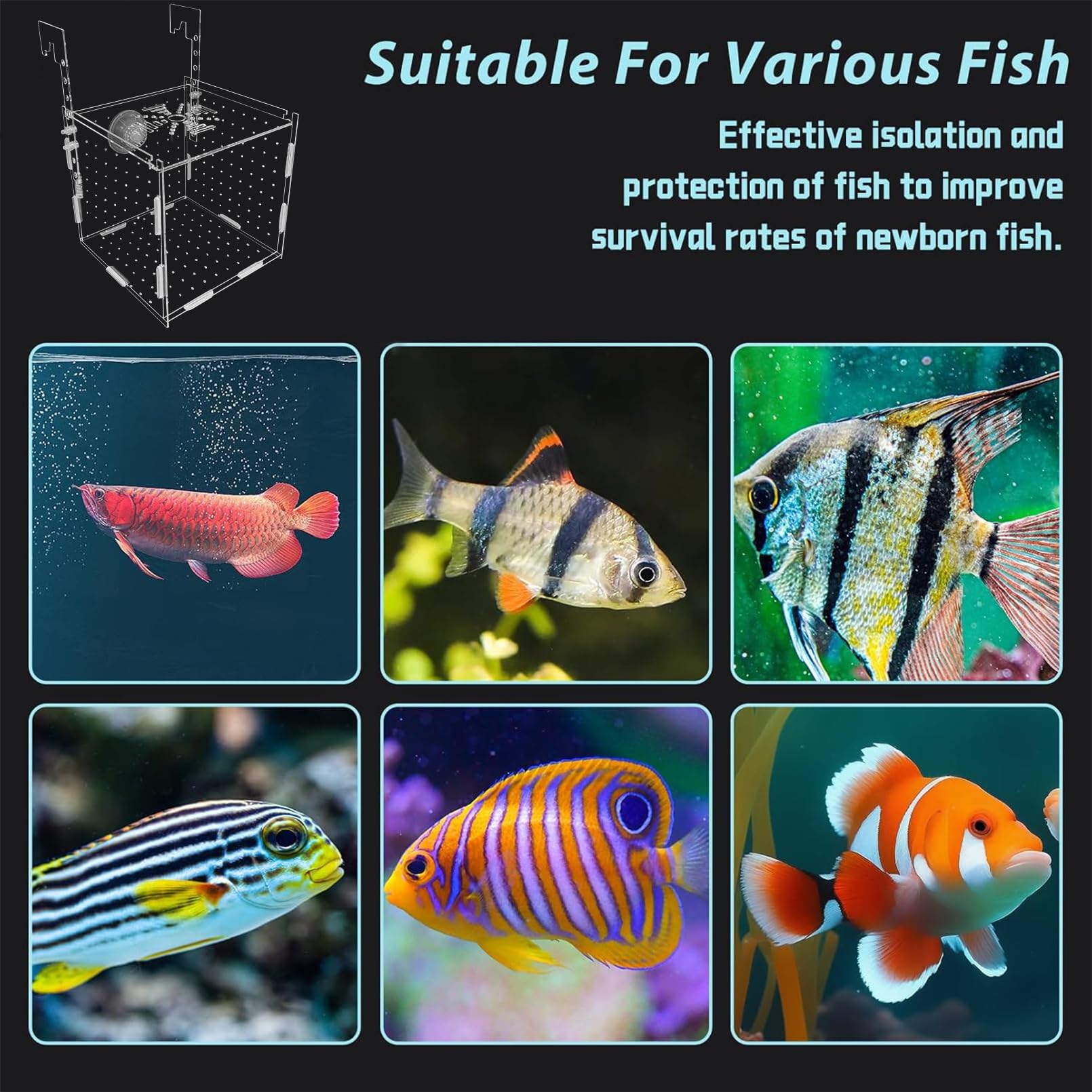 Pinvnby Acrylic Fish Breeding Box,Transparent Fish Isolation Box Acrylic Hatchery Incubator Tank With Suction Cups For Baby Fish