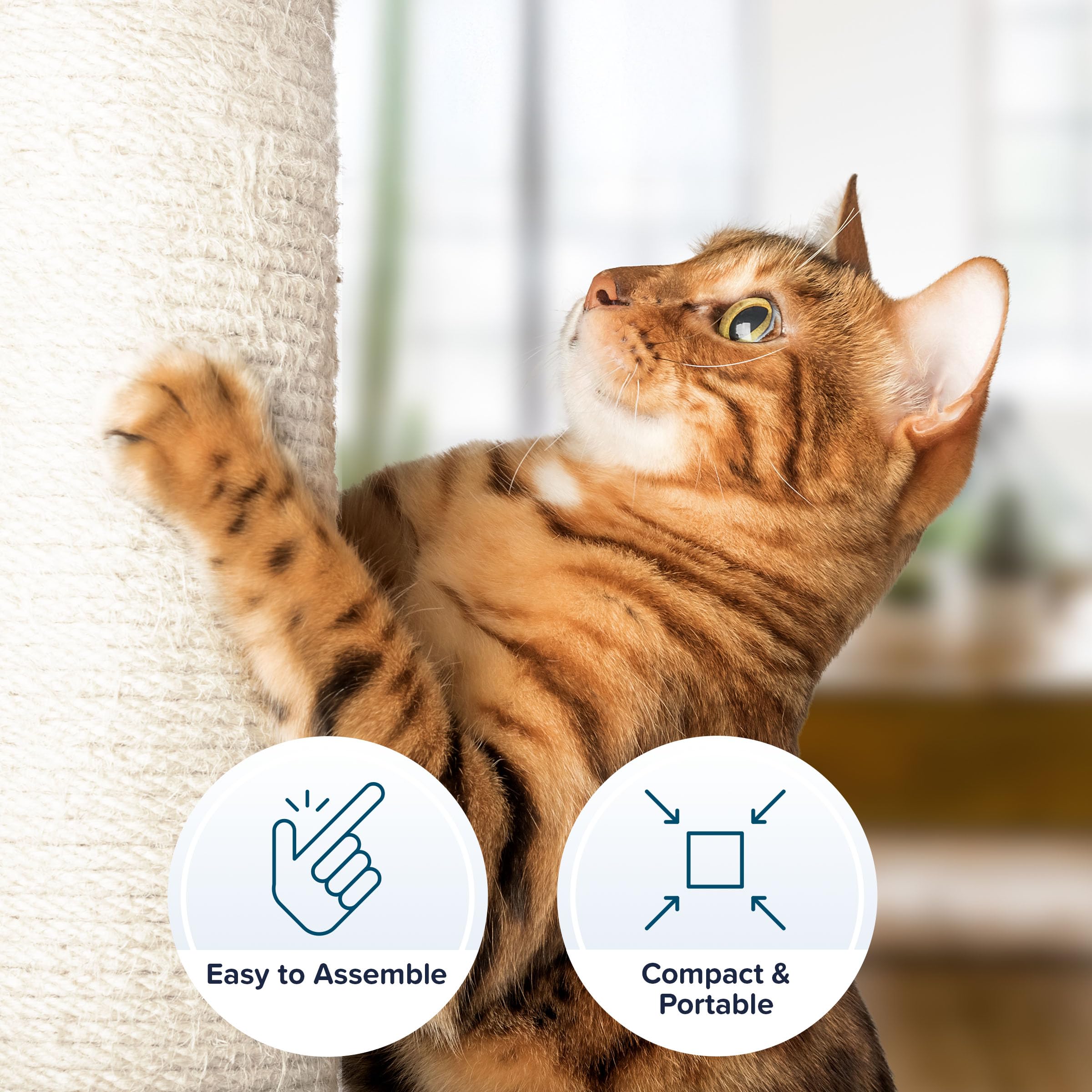 19-Inch Cat Scratching Post With Hammock ? Sisal Fabric And Carpet Small Cat Tree, Hanging Ball Toy For Adult Cats And Kittens B