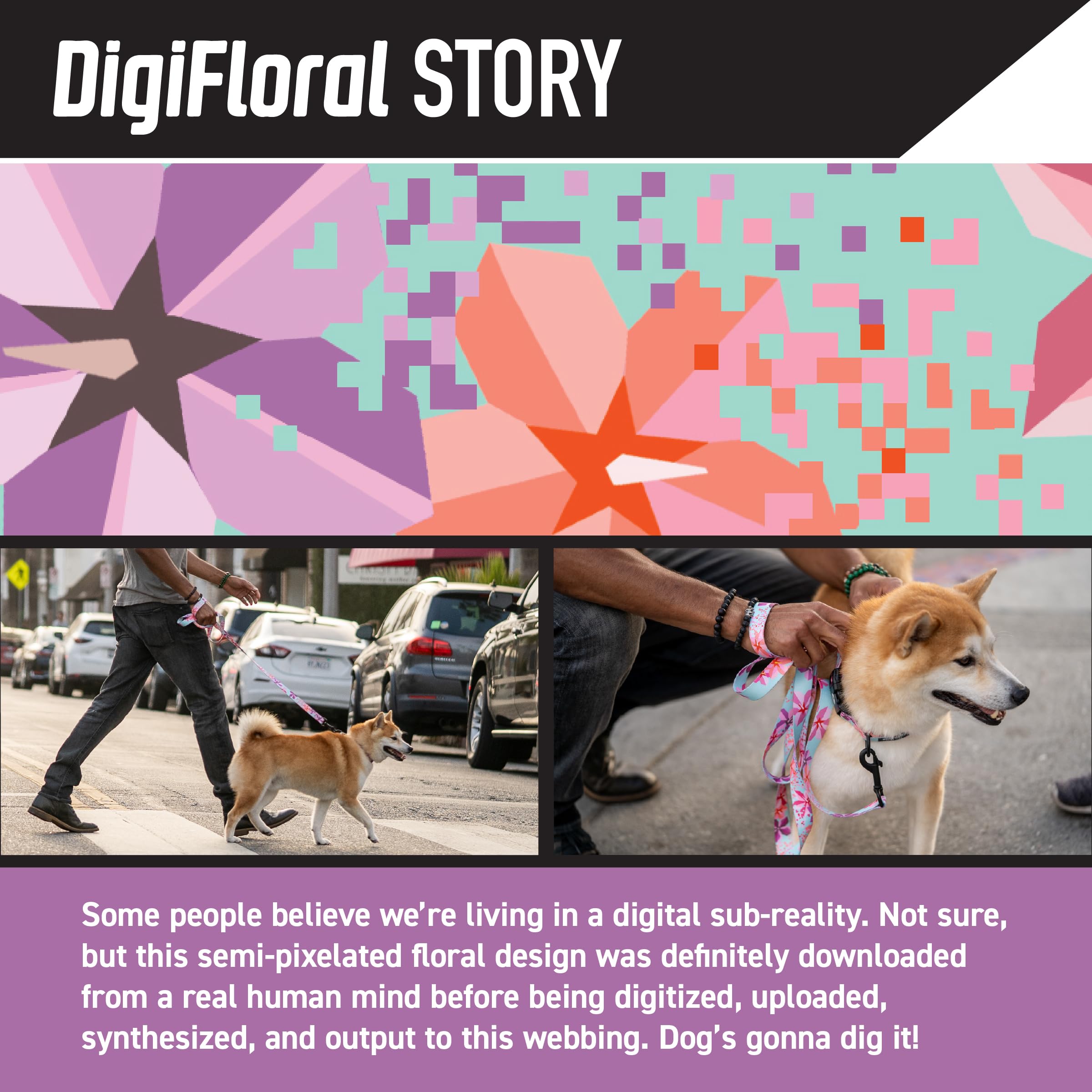 Wolfgang Heavy Duty Adjustable Dog Harness, Pull-Tested to Over 800 lbs for Walking & Training, DigiFloral Print, Medium