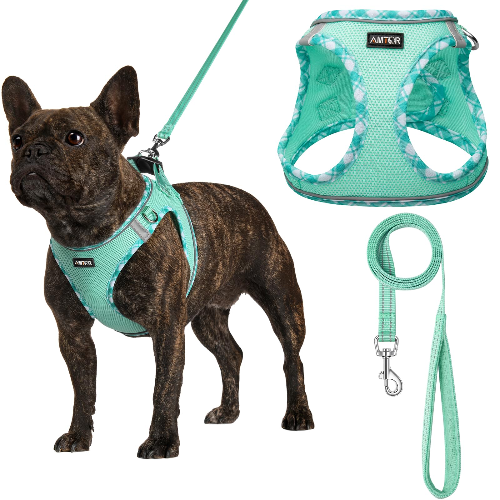 Amtor Dog Harness With Leash Set,No Pull Adjustable Reflective Step-In Puppy Harness With Padded Vest For Extra-Small/Small Medium Large Dogs And Cats(Green,S)