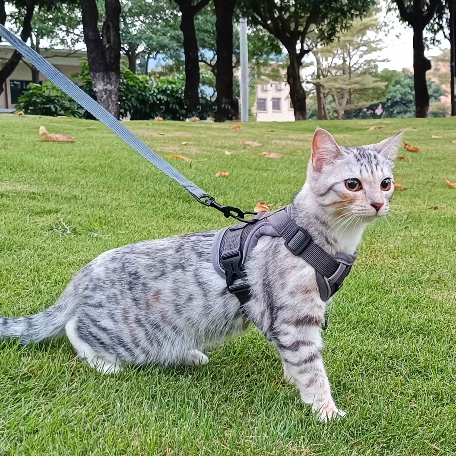 pangdi Cat Harness and Leash Set, Escape Proof Tactical Vest, XL, Grey, Nylon