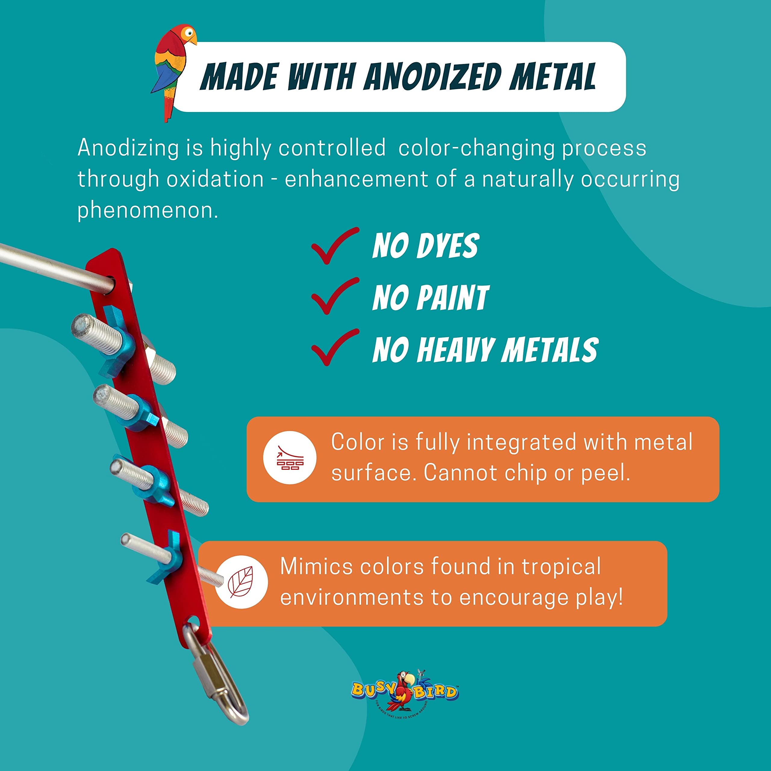 Strip Bird Foraging Toy | Non-Removable Wing Nuts | Durable Puzzle Enrichment Toy | Mind Game | Bird Cage Accessories For Medium