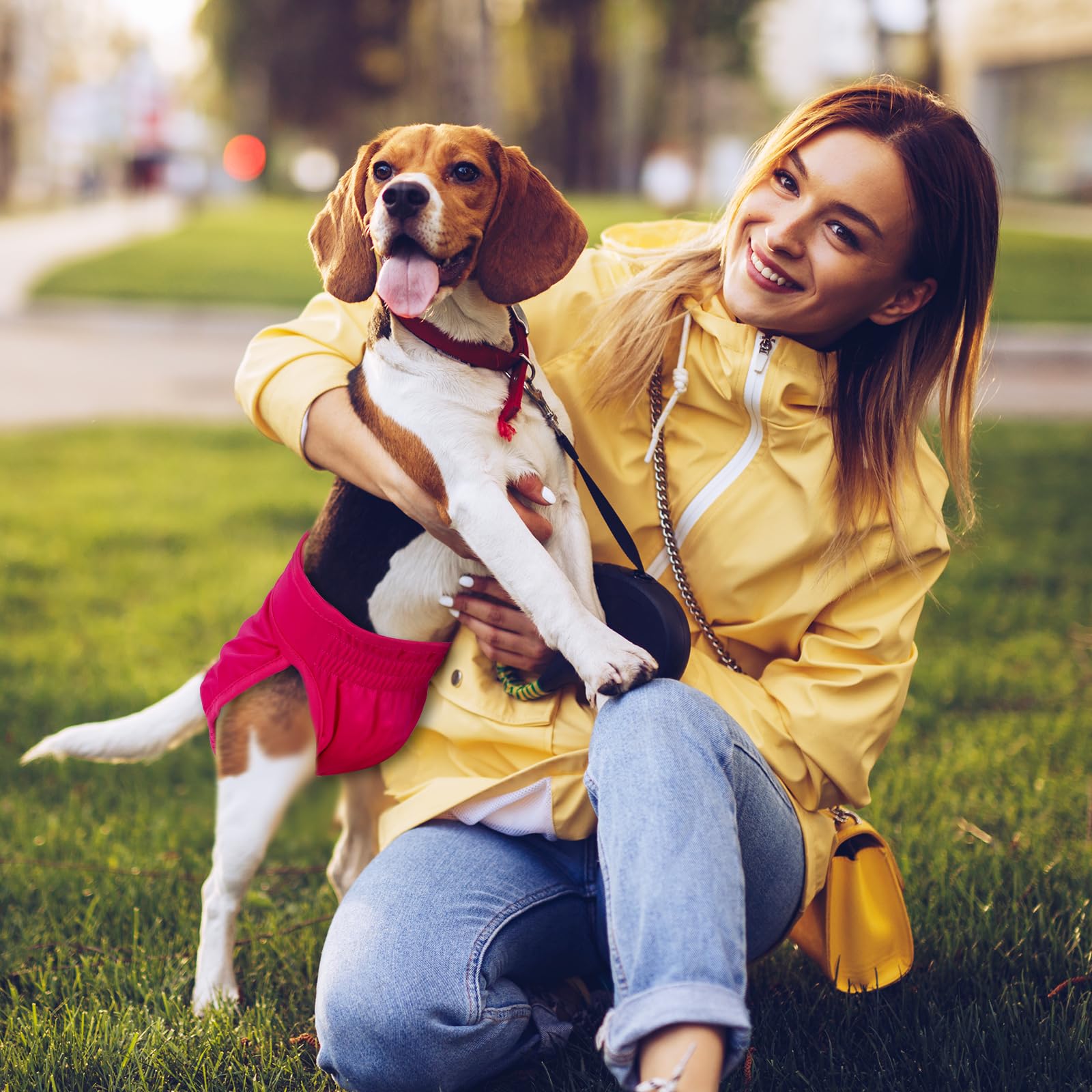 Pet Soft Washable Female Diapers (3 Pack) Female Dog Diapers, Comfort Reusable Doggy Diapers For Girl Dog In Period Heat (Classy