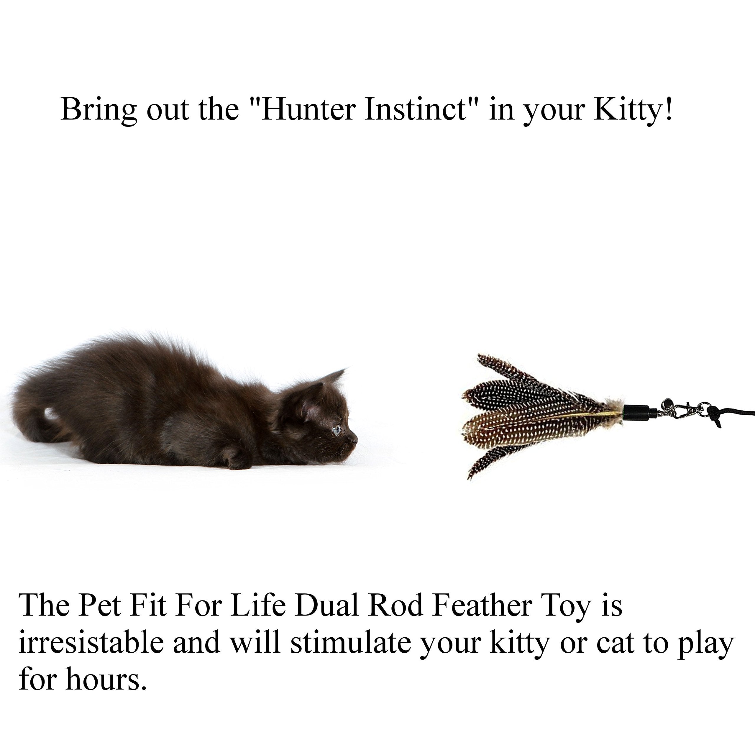 Pet Fit For Life 2 Feather Teaser And Exerciser For Cat And Kitten - Cat Toy Interactive Cat Wand
