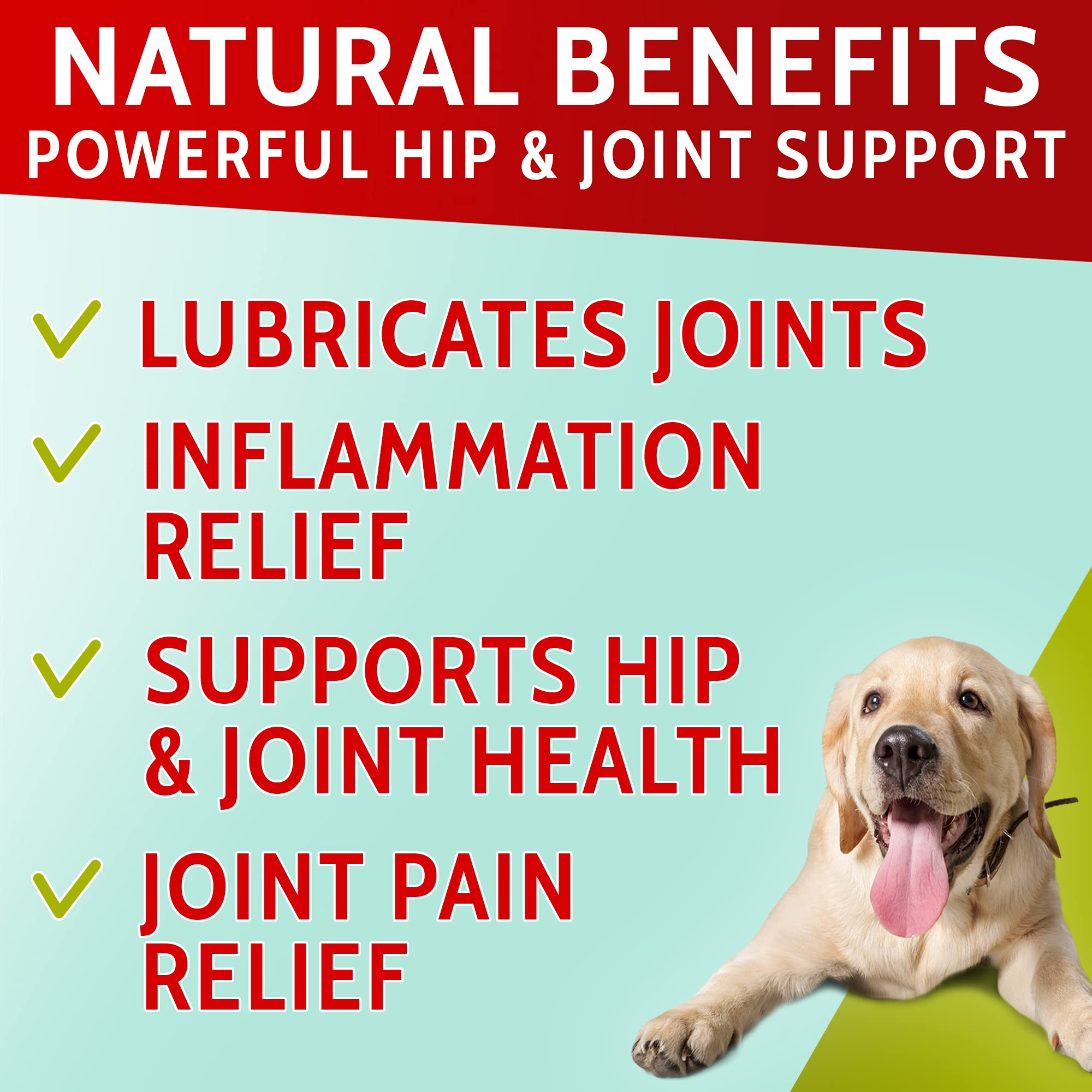 PawfectChew Hemp & Glucosamine Dog Treats - 120 Soft Chews, Natural Pain Relief, Made in USA, All Breeds, Green