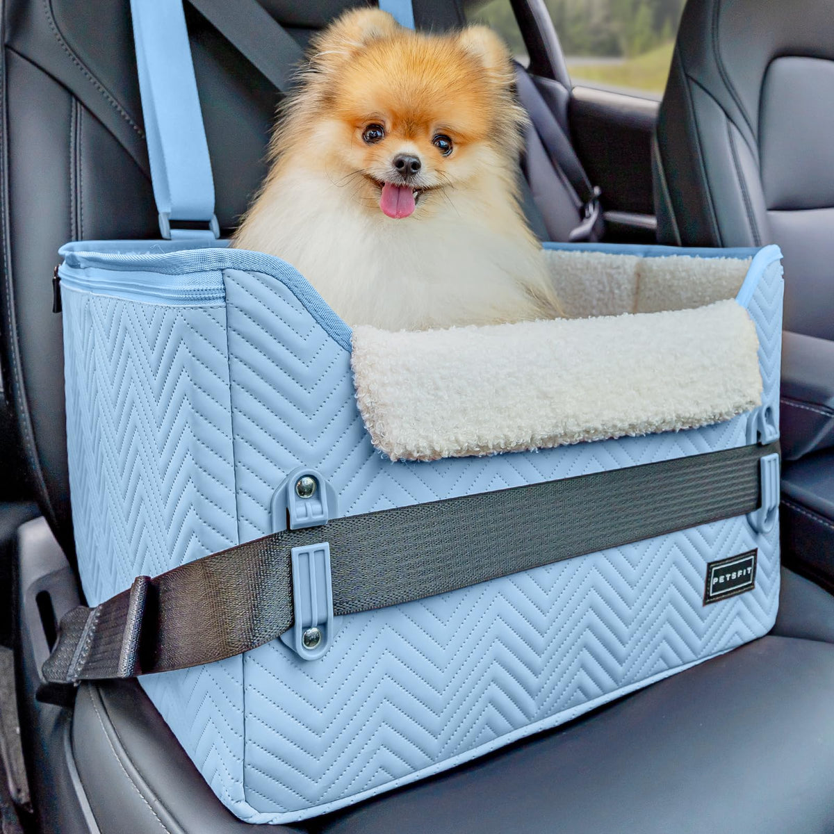 Petsfit Dog Car Seat Medium Sized Dog, Stable Small Dog Car Seat For Car With Clip-On Leash, Fleece Liner Suitable For Small Pets Up To 25Lbs (Blue)