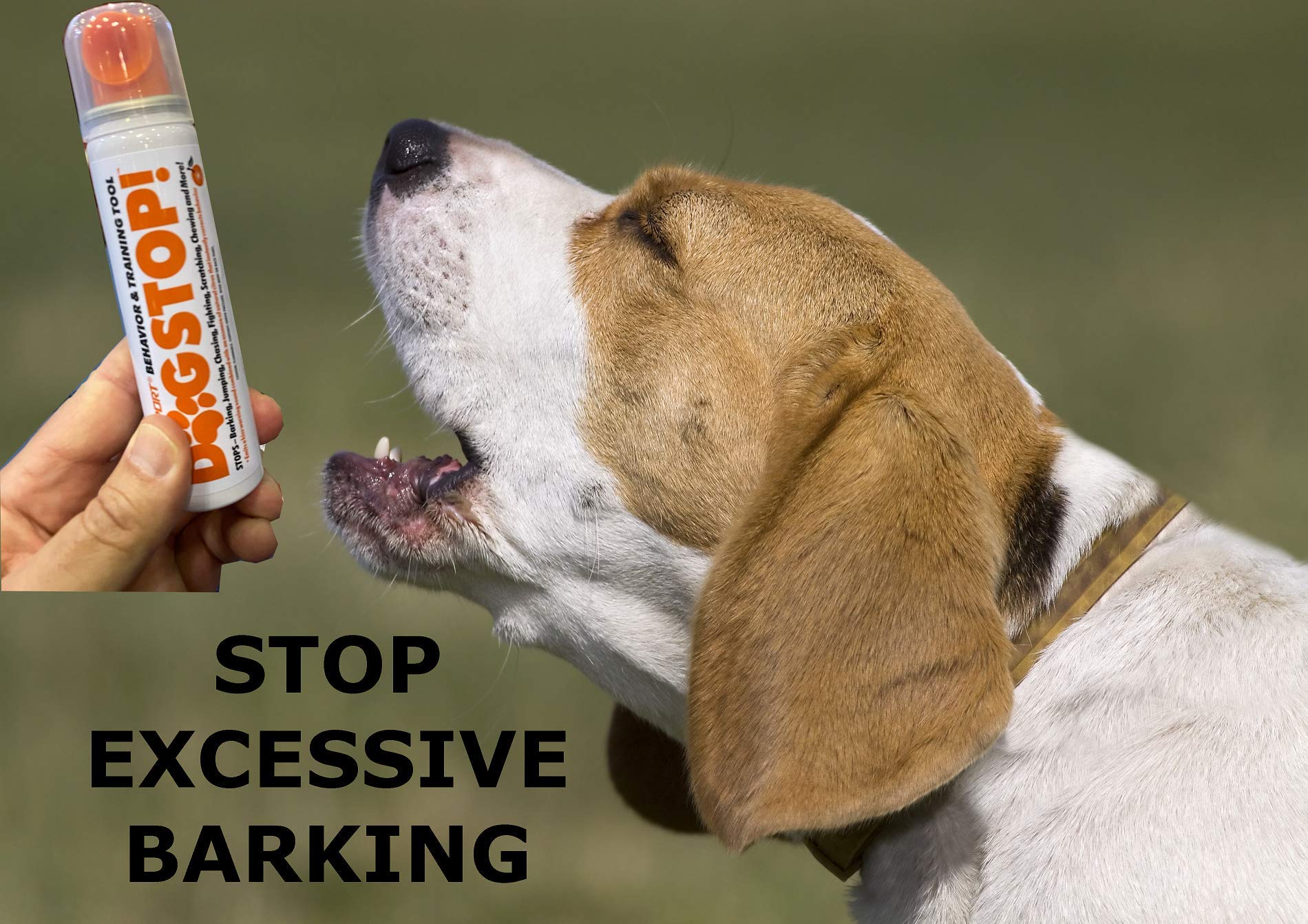 Safety-Sport Dog Stop! - Stop Barking, Jumping, Chasing, Fighting, Scratching, Chewing, Biting & More! Safe, Humane, Effective P